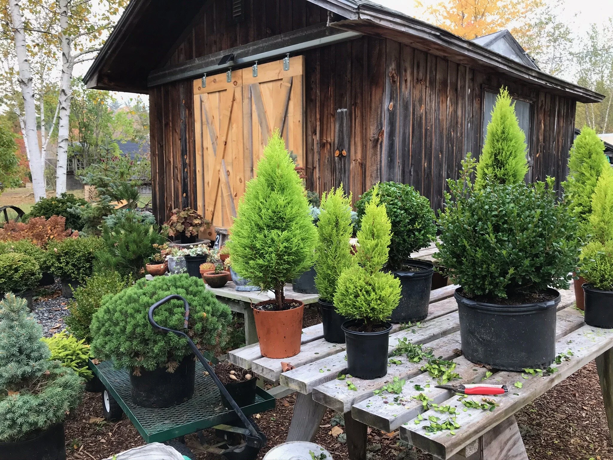 Finding quality plant goods is a passion