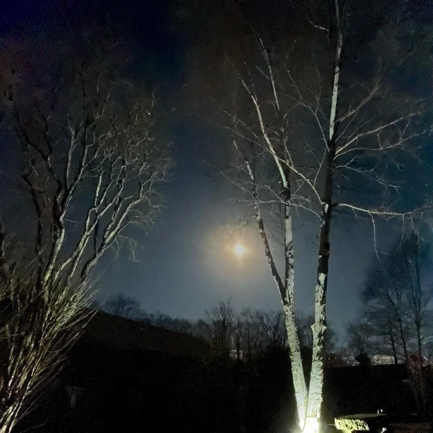 Shine on you crazy moon #moon #a2gardening #night #shop #maine