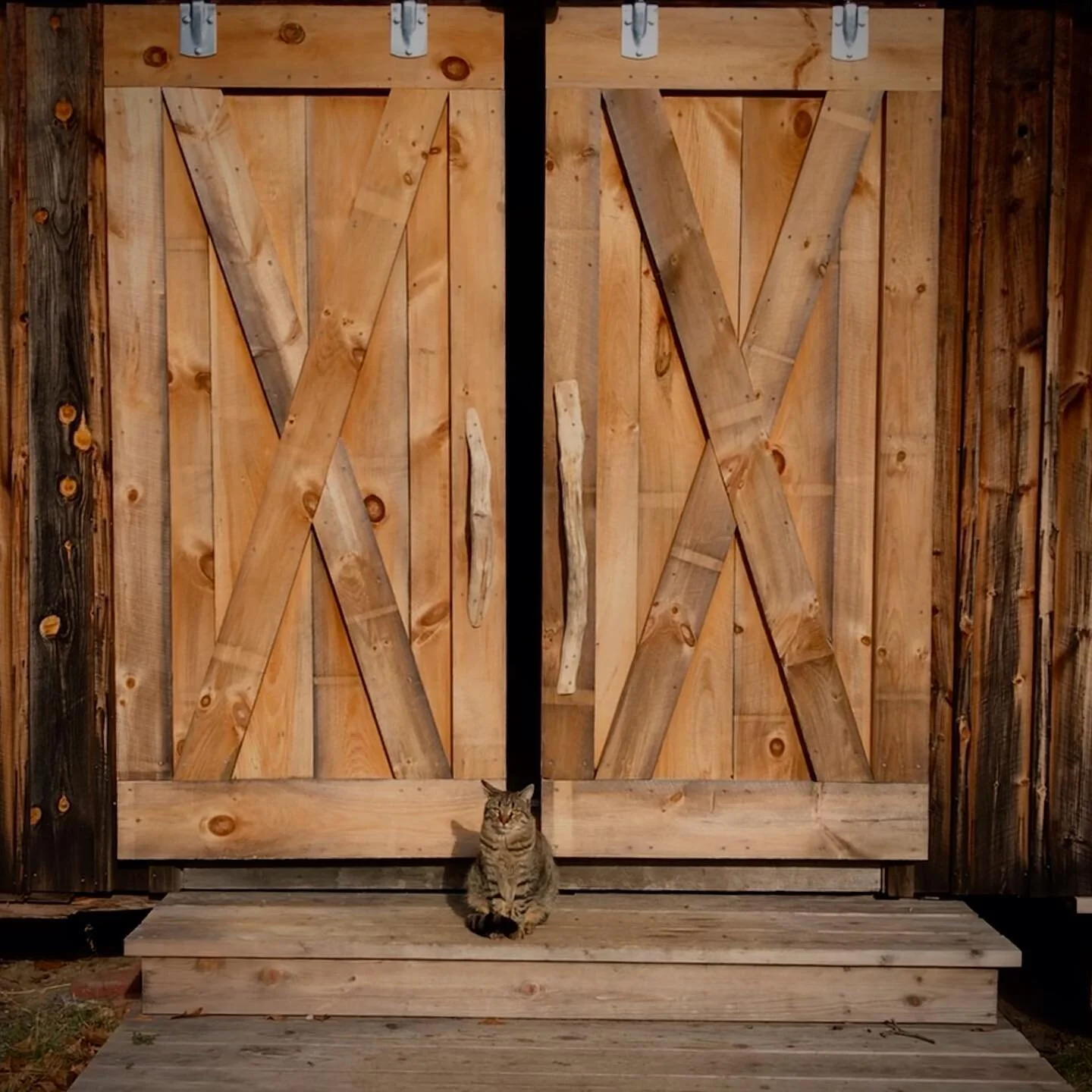 Ms Kitty guarding the bar #woodworking #cat #catsofinstagram #barncatsofinstagram #workingcat #barndoor