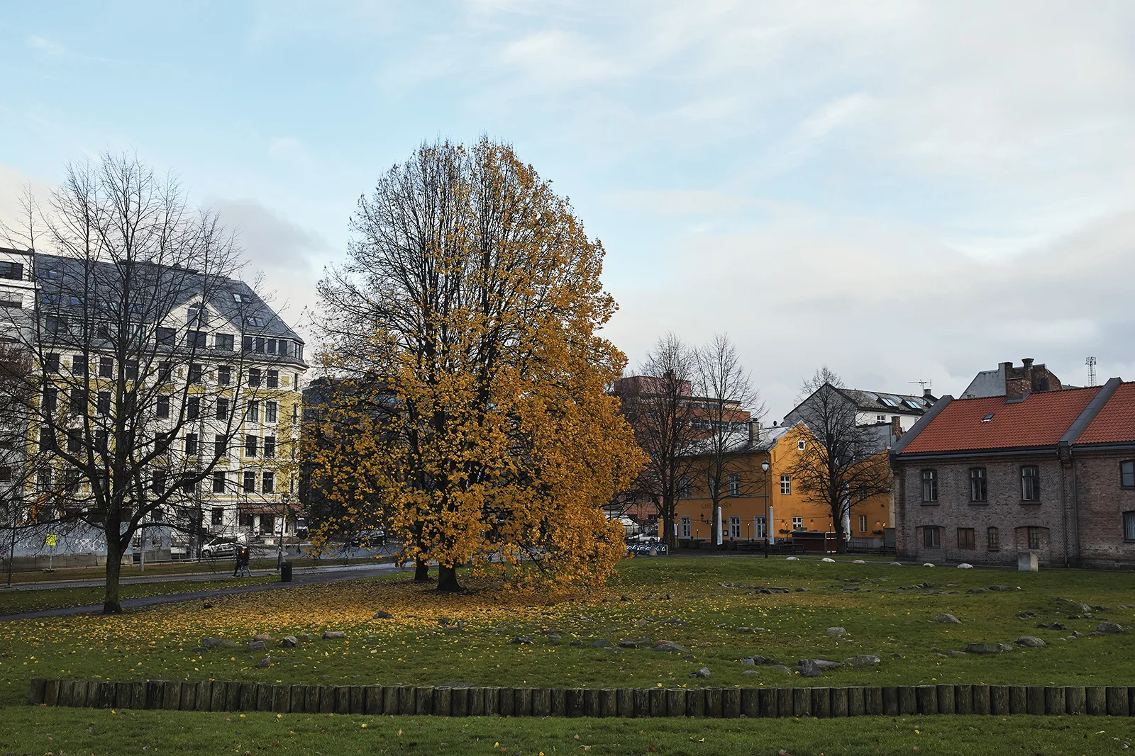 KF_Portfolio_42_KF.jpg