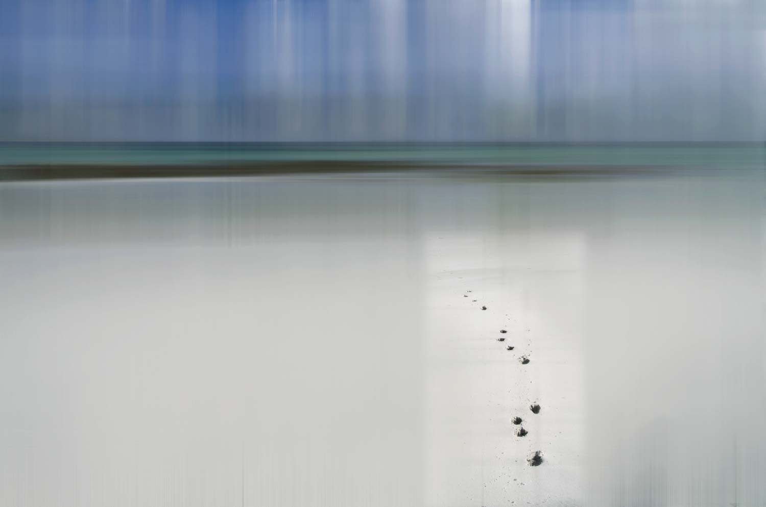 Tracks on the beach, Berneray