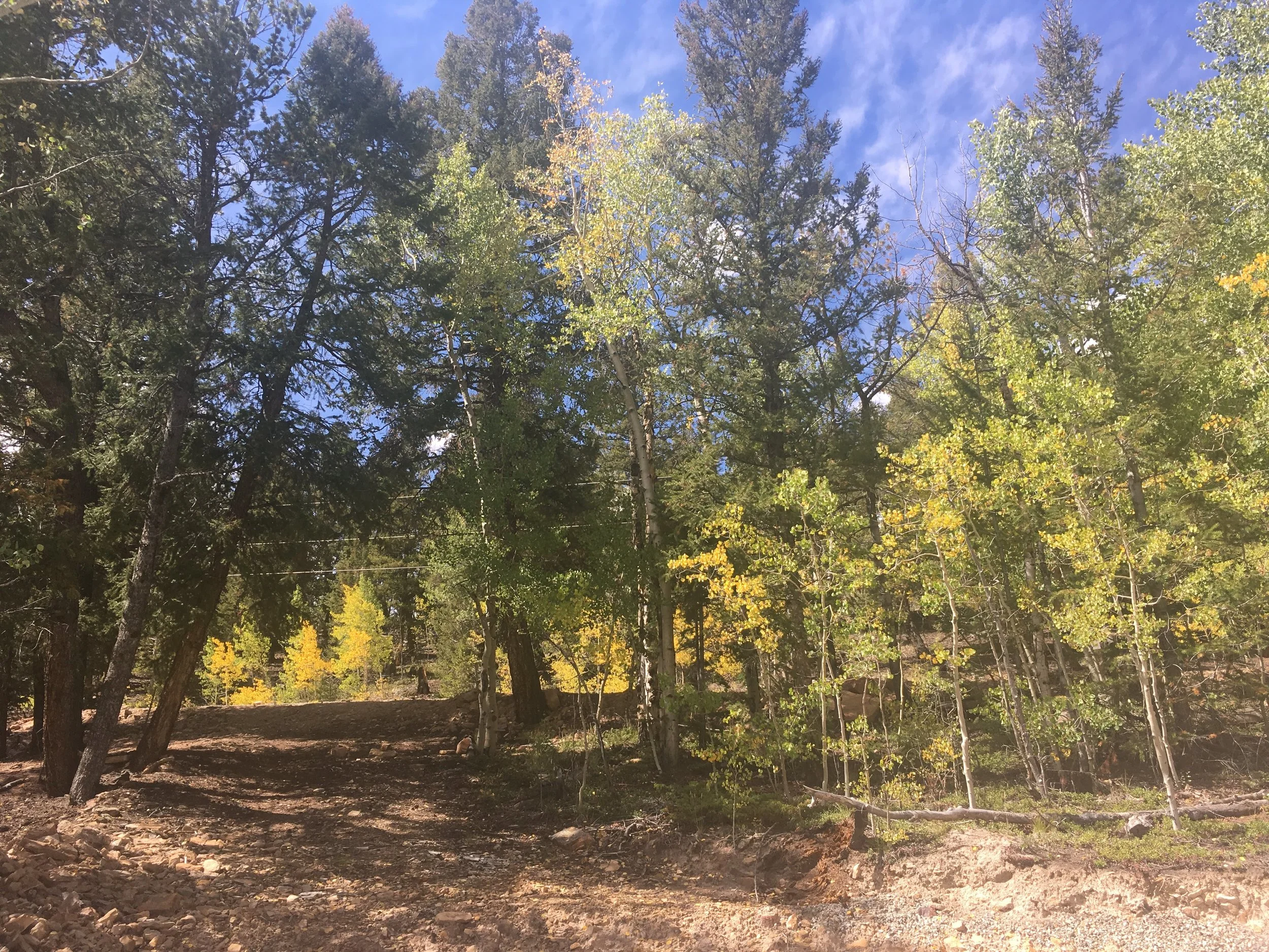 Pictures of 100k Cabin, a rental cabin in Fairplay, Colorado. — 100k cabin