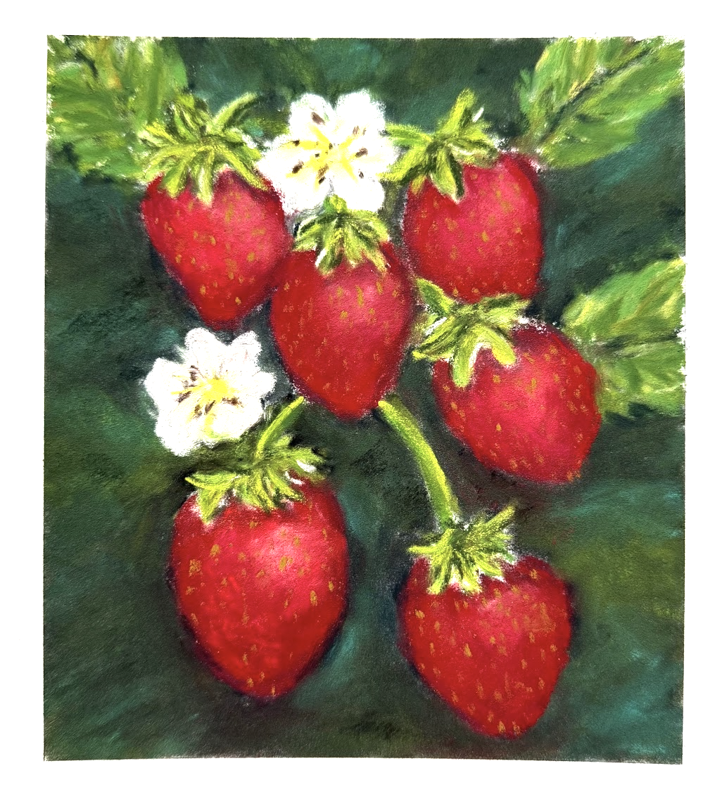 "Berries" - Pastel