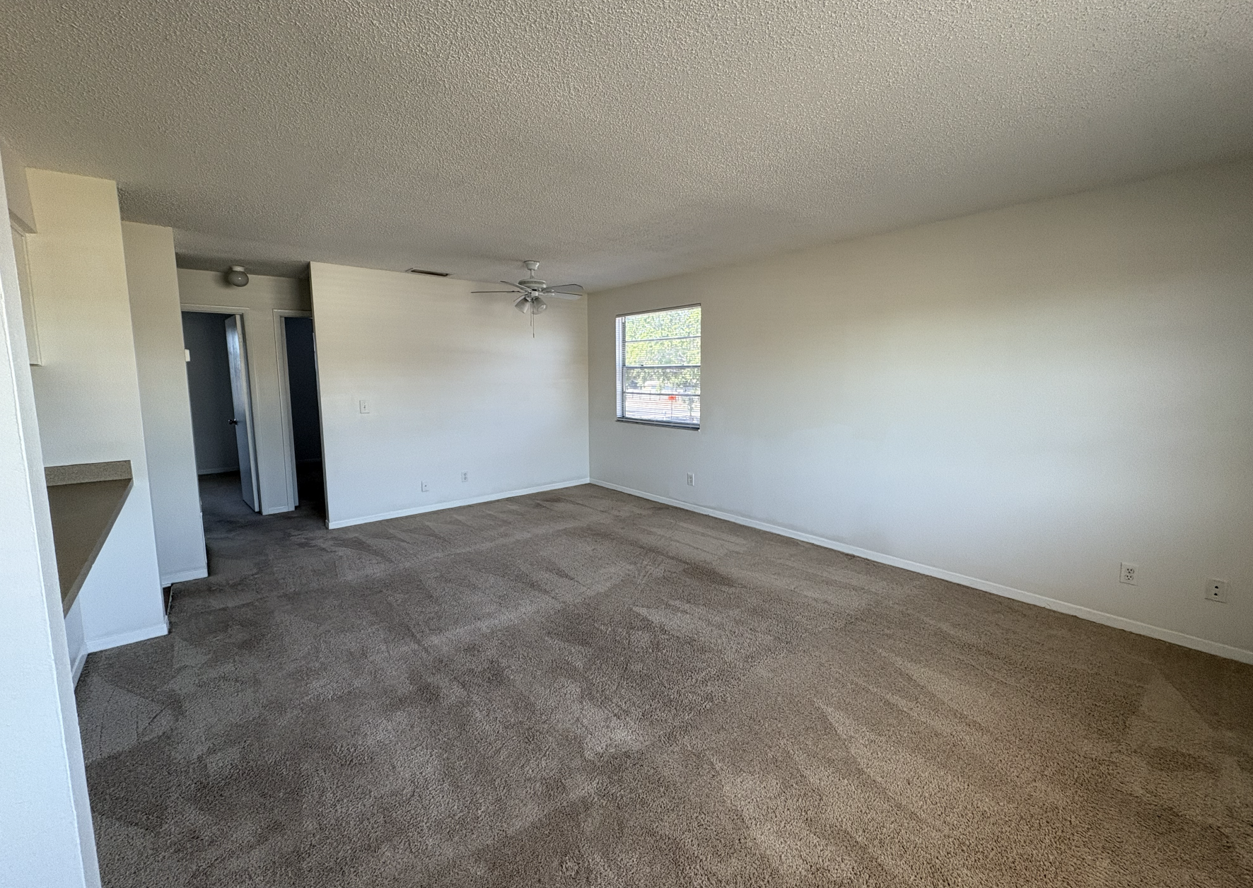 Captura de pantalla 2025-03-27 a la(s) 2.55.43 p.m..png