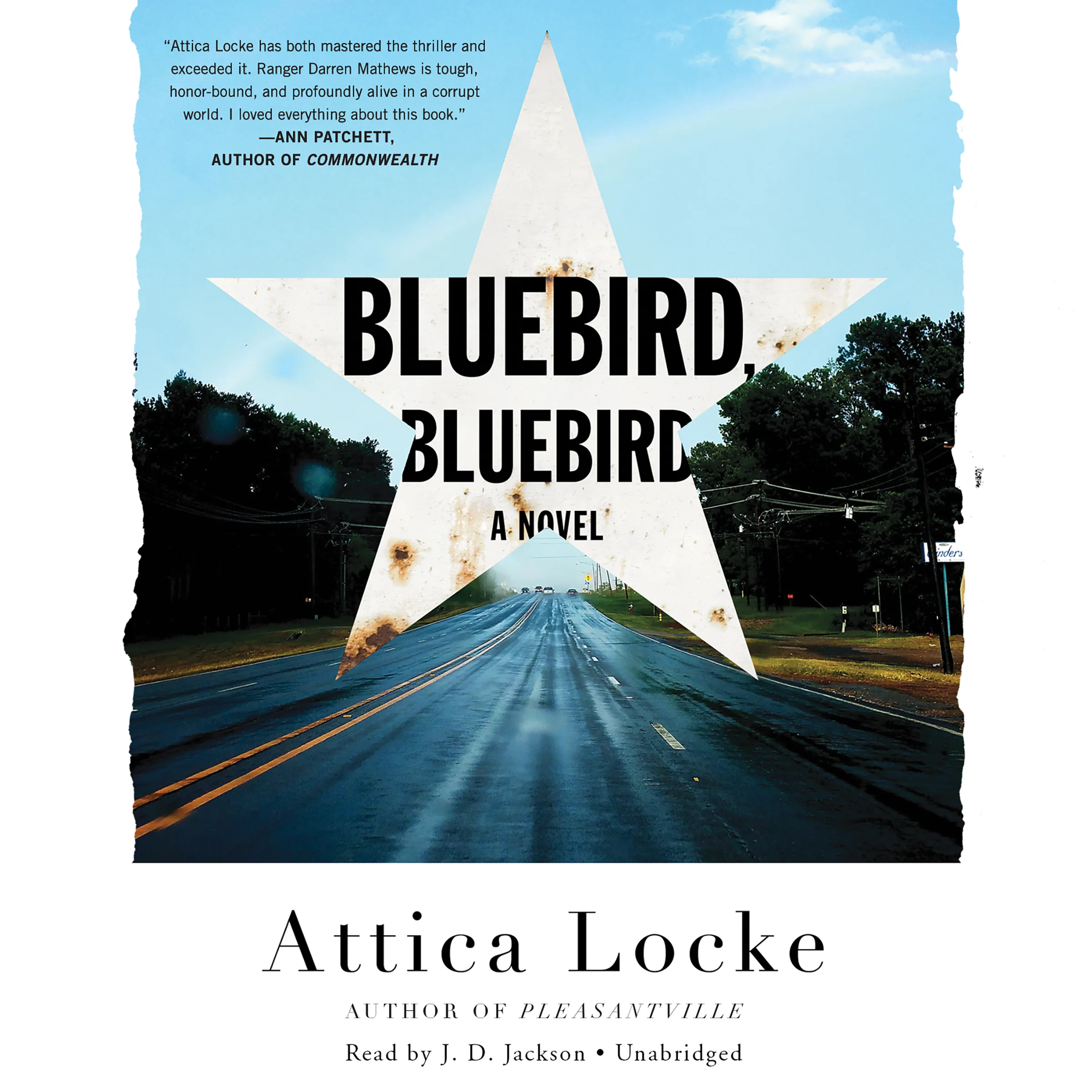 bluebird bluebird_attica locke.jpg