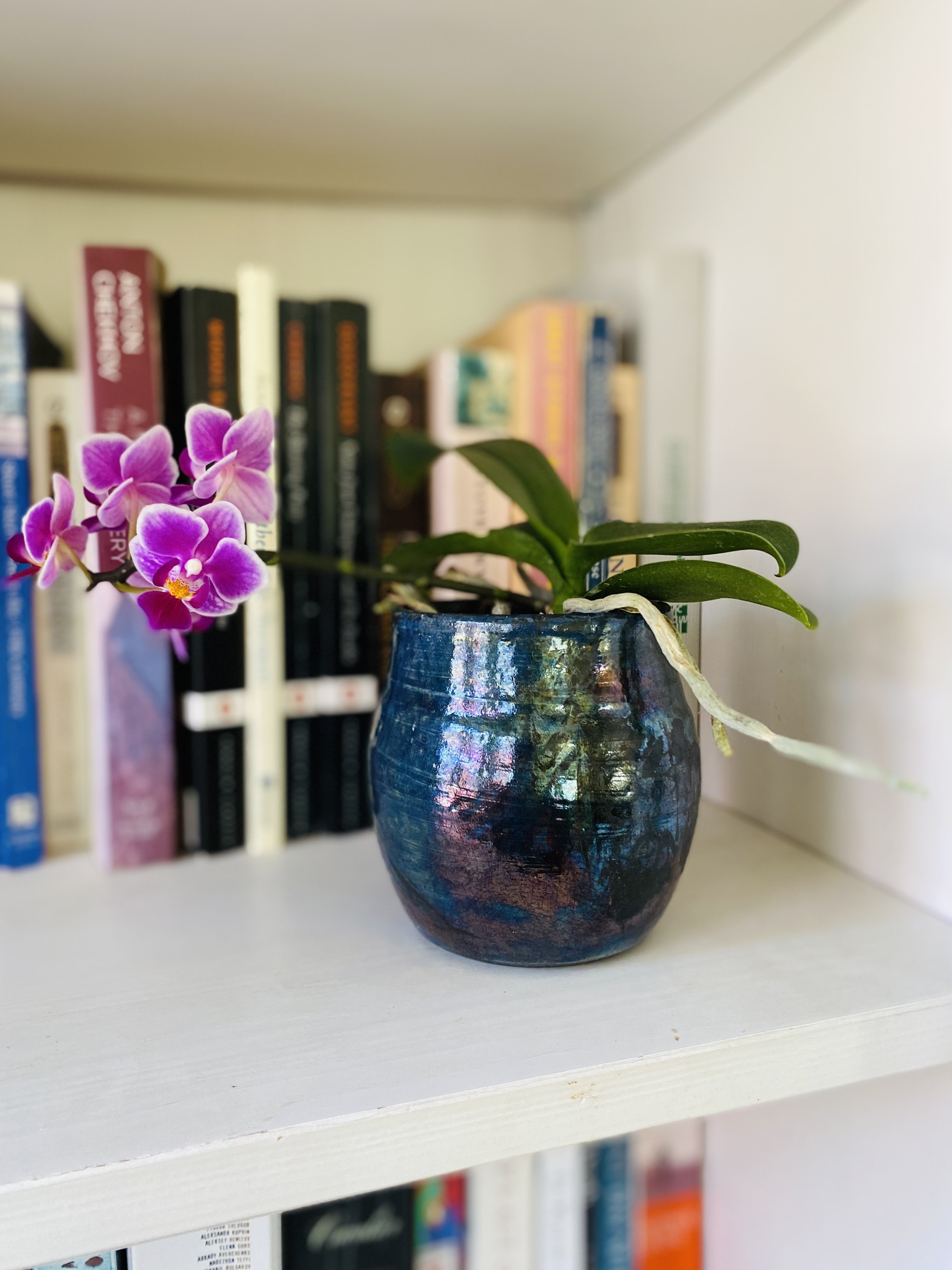 A6677CB6-0D50-43DF-9DCB-F26F1E218750.jpeg