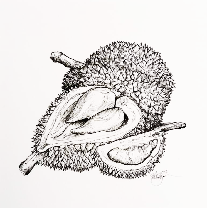 durian_52610929873_o.png