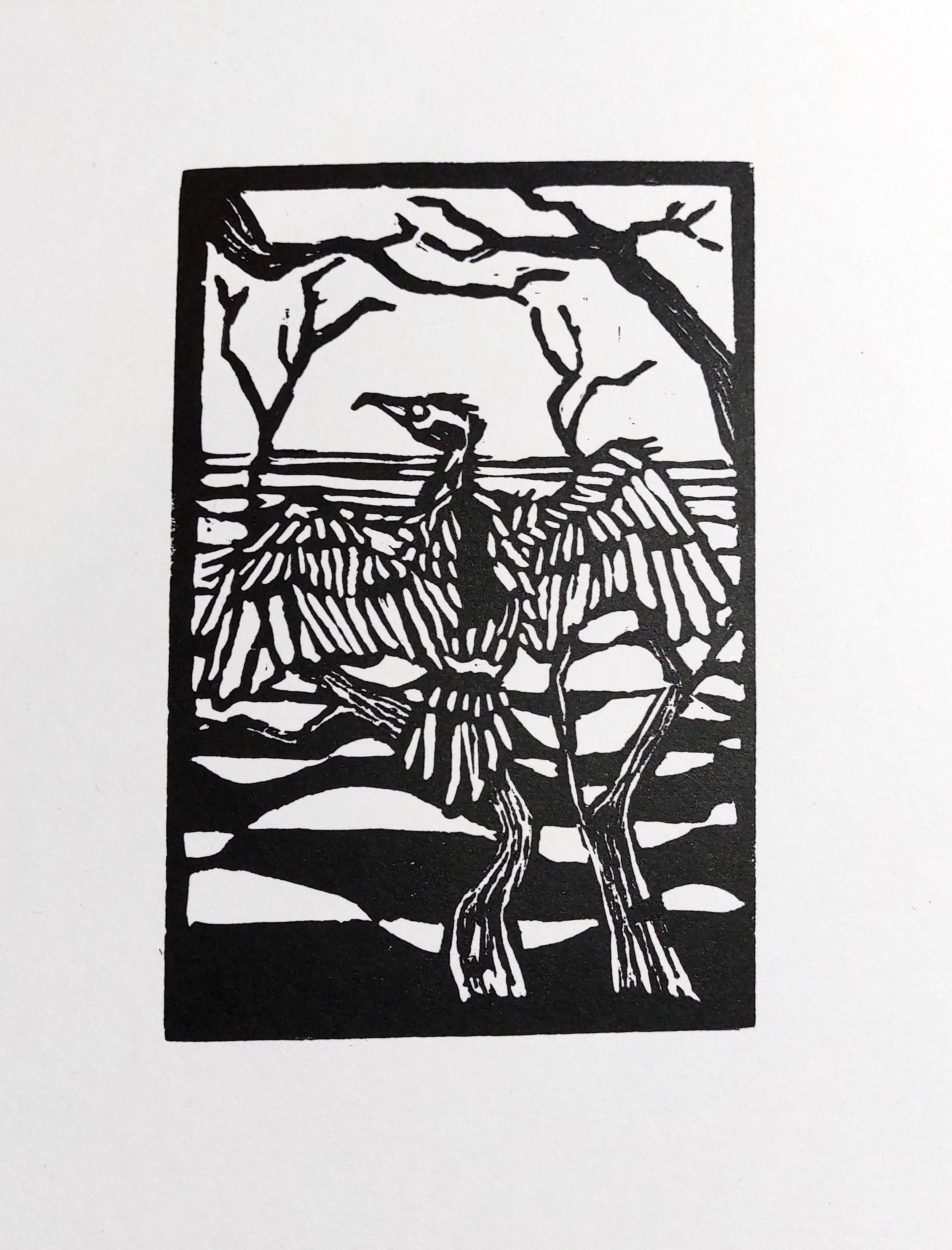 Cormorant No. 1.jpg