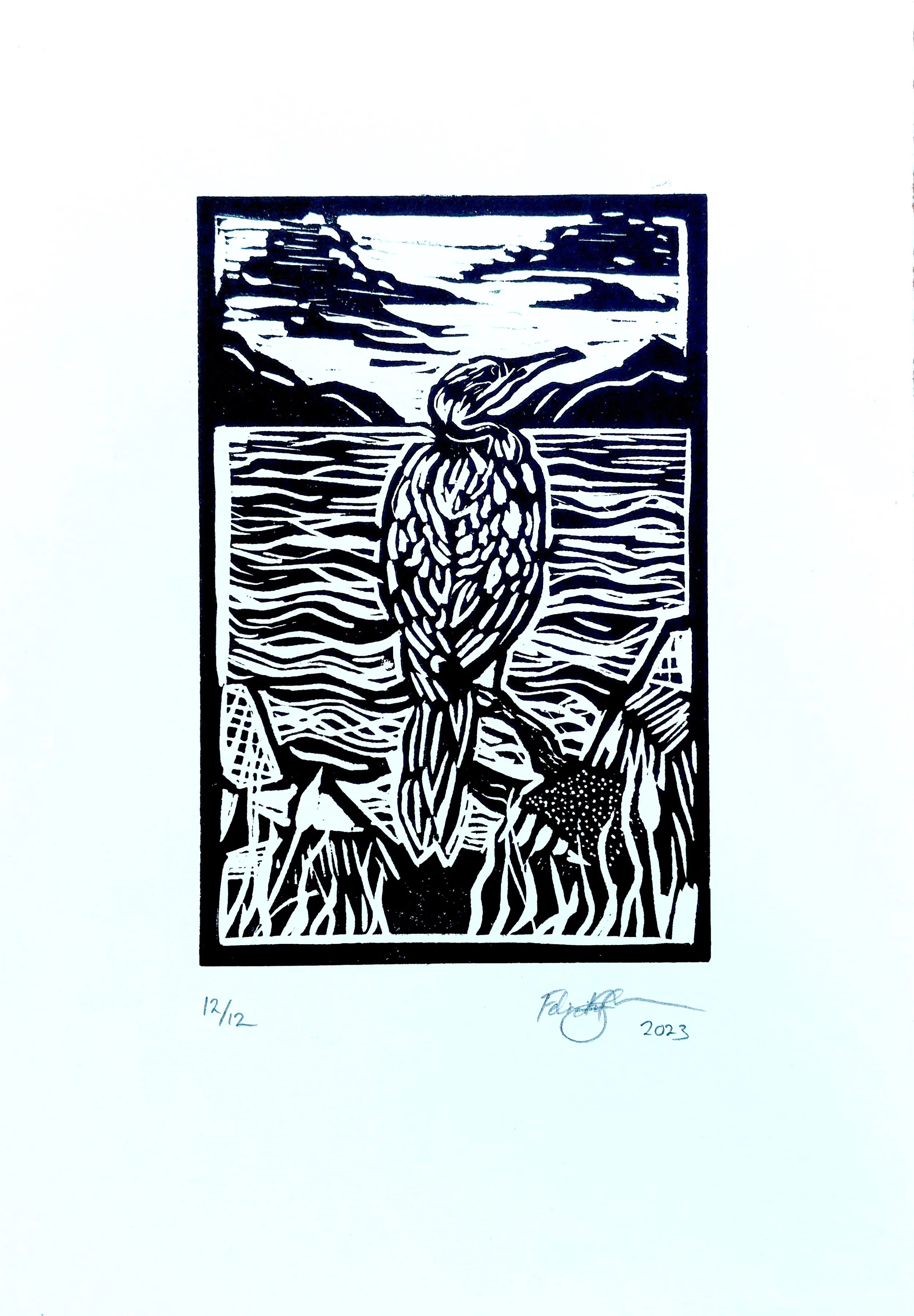 cormorant_3_2023 copy.jpg