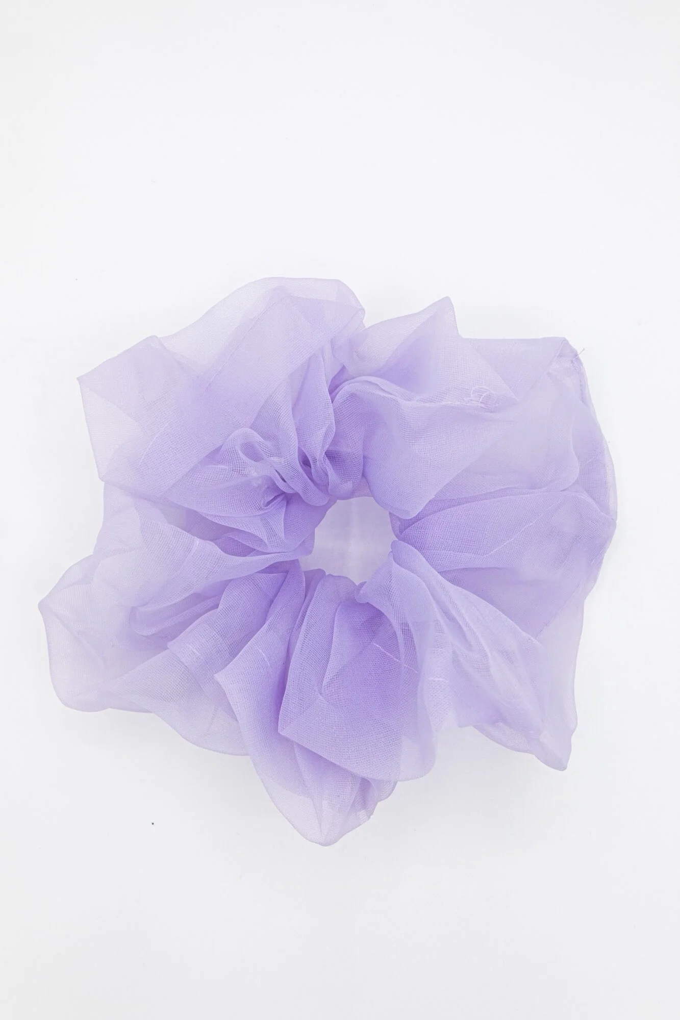 image6 (1).jpeg
