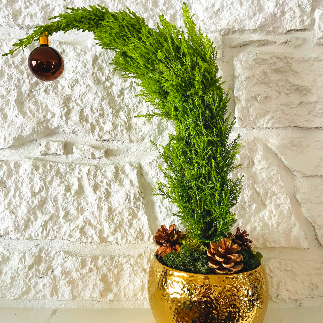 Simple Touches of Holiday at Home - The Grinch Tree Edition
