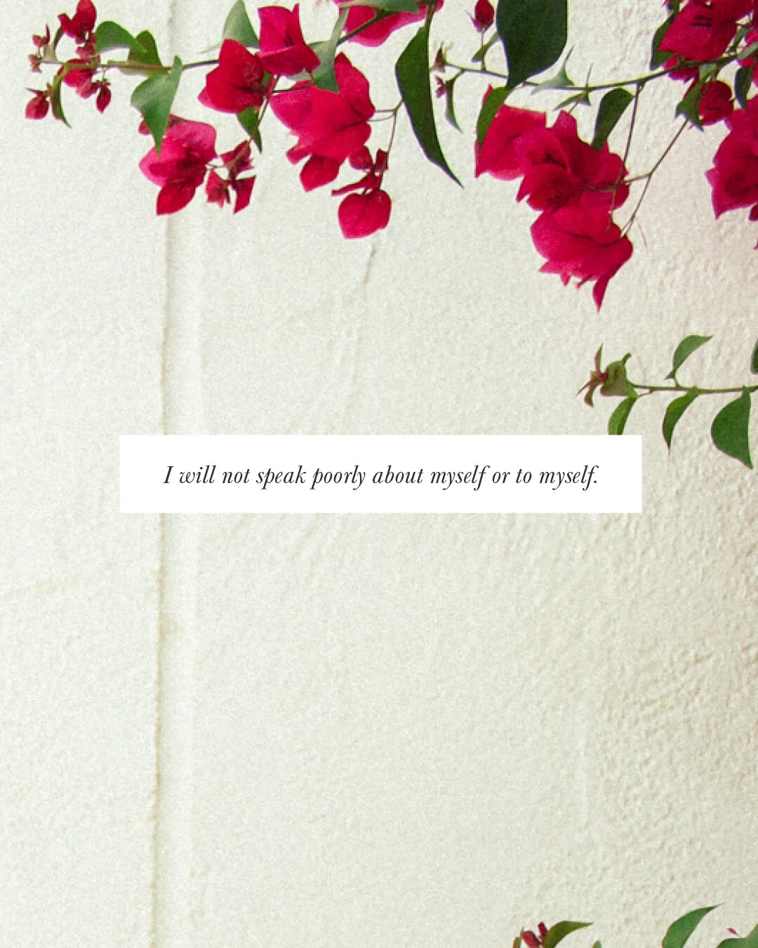 I will not speak poorly