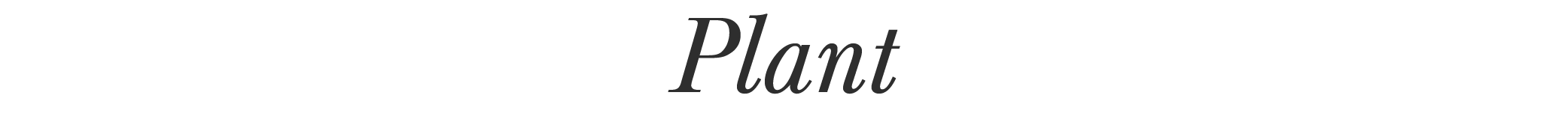 Catie-Menke-Ashley-Macha-Plant.png