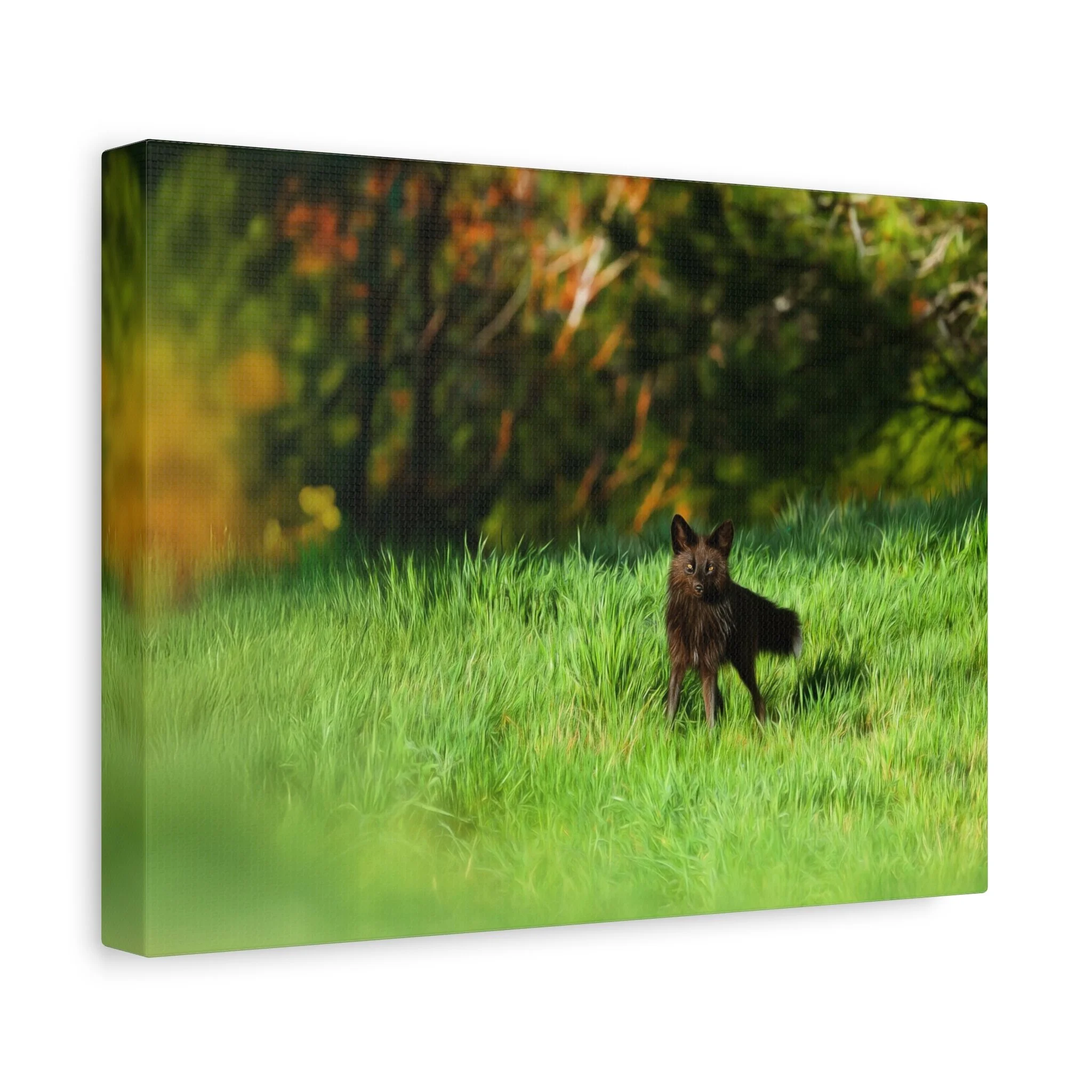 26b14266b9b085b7cacc846d78cec923