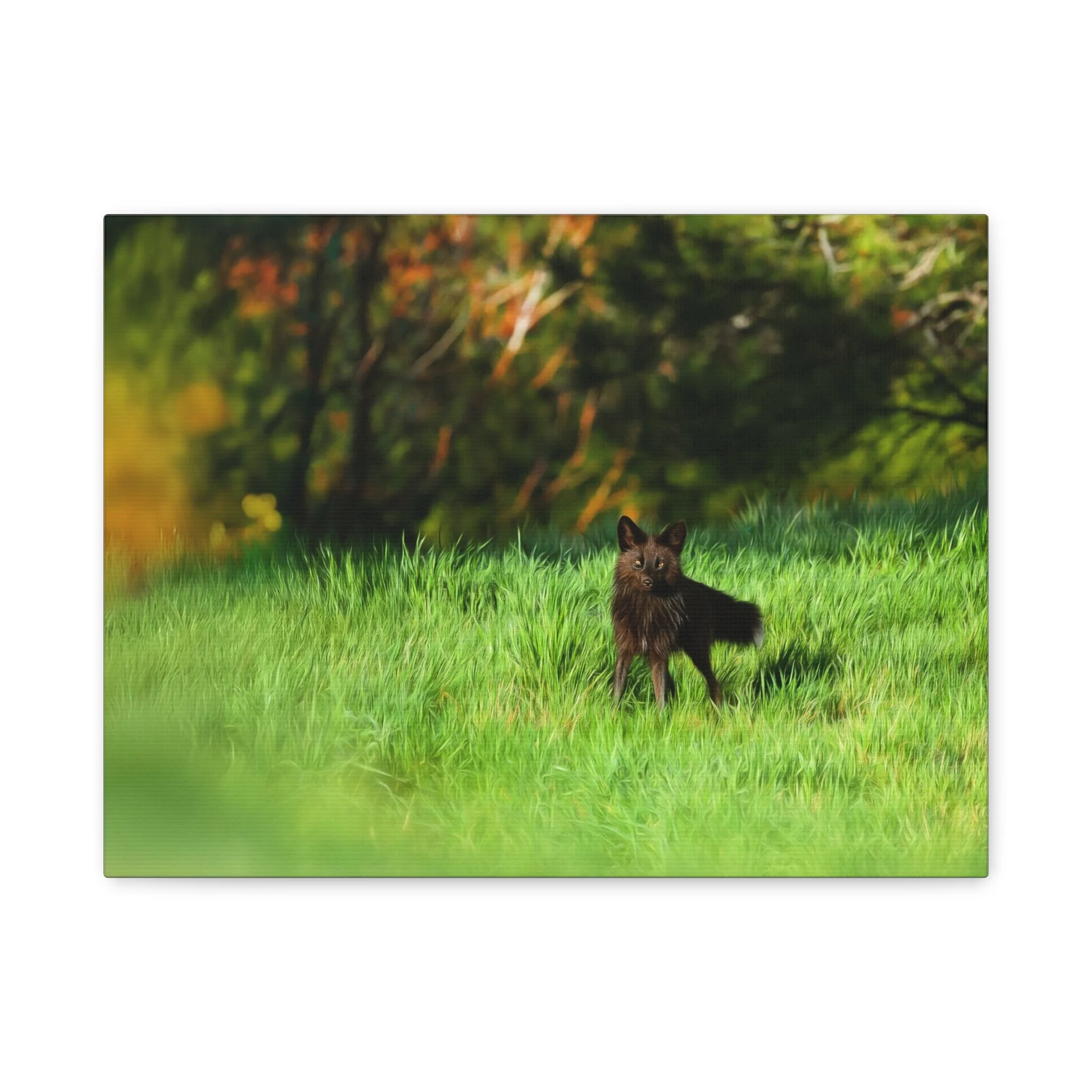 fad4cbc559bf6df67f6df6cb1ebeb9b3