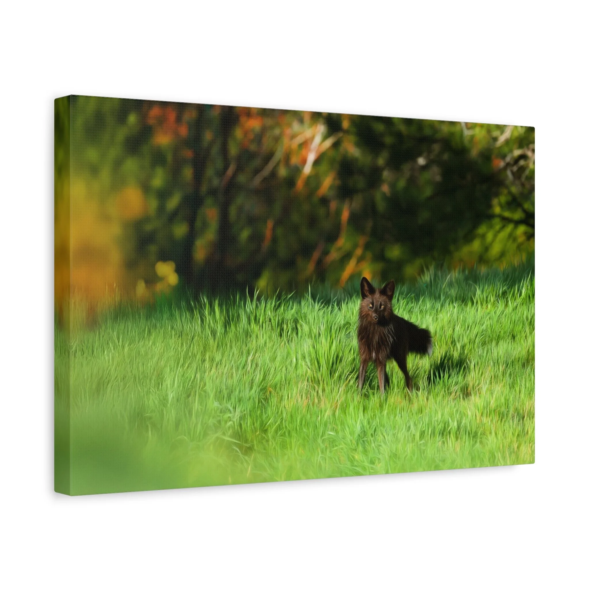 ea2130244f3b54453988b6b33c4362dd