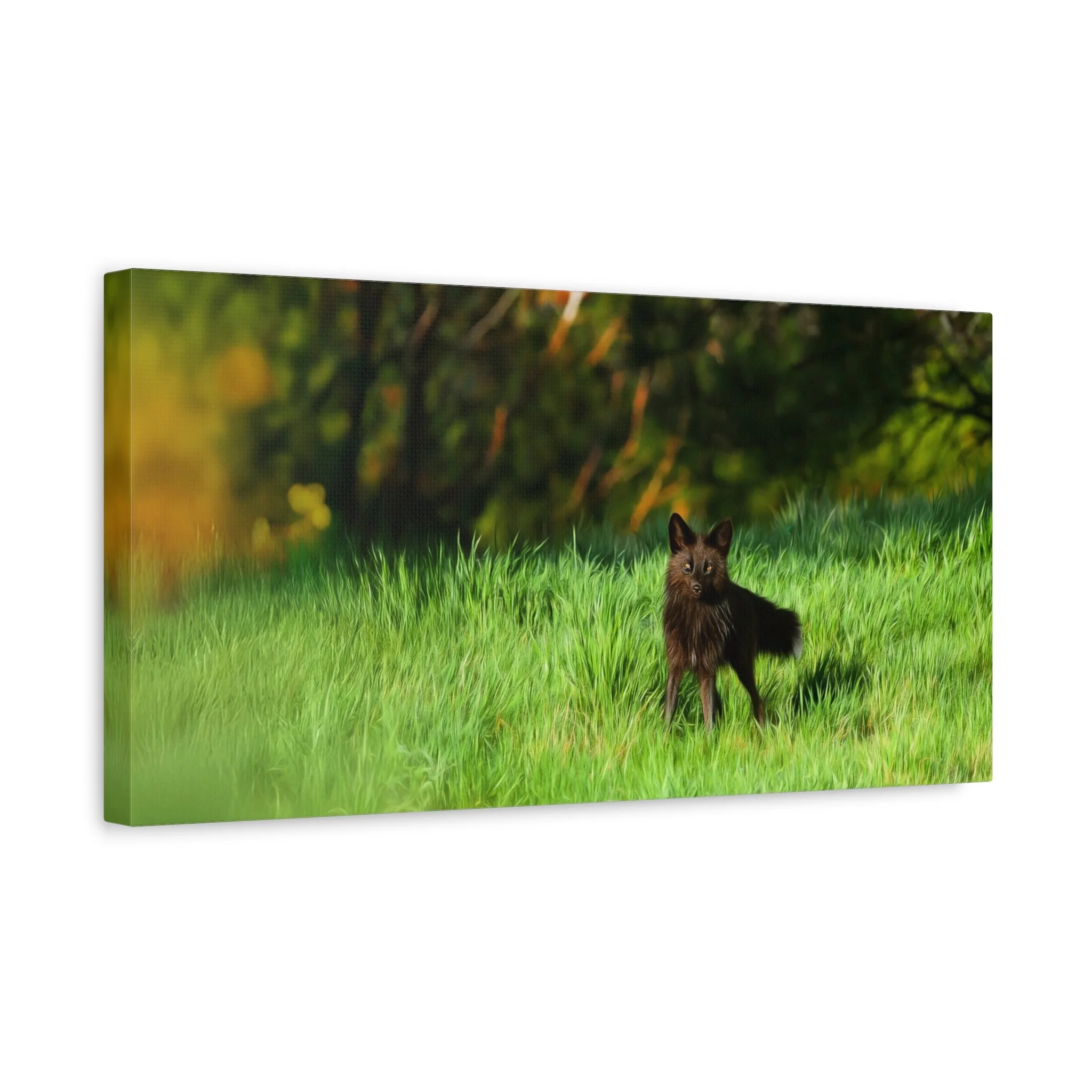 e238f69e04da025602112ec958caef2e