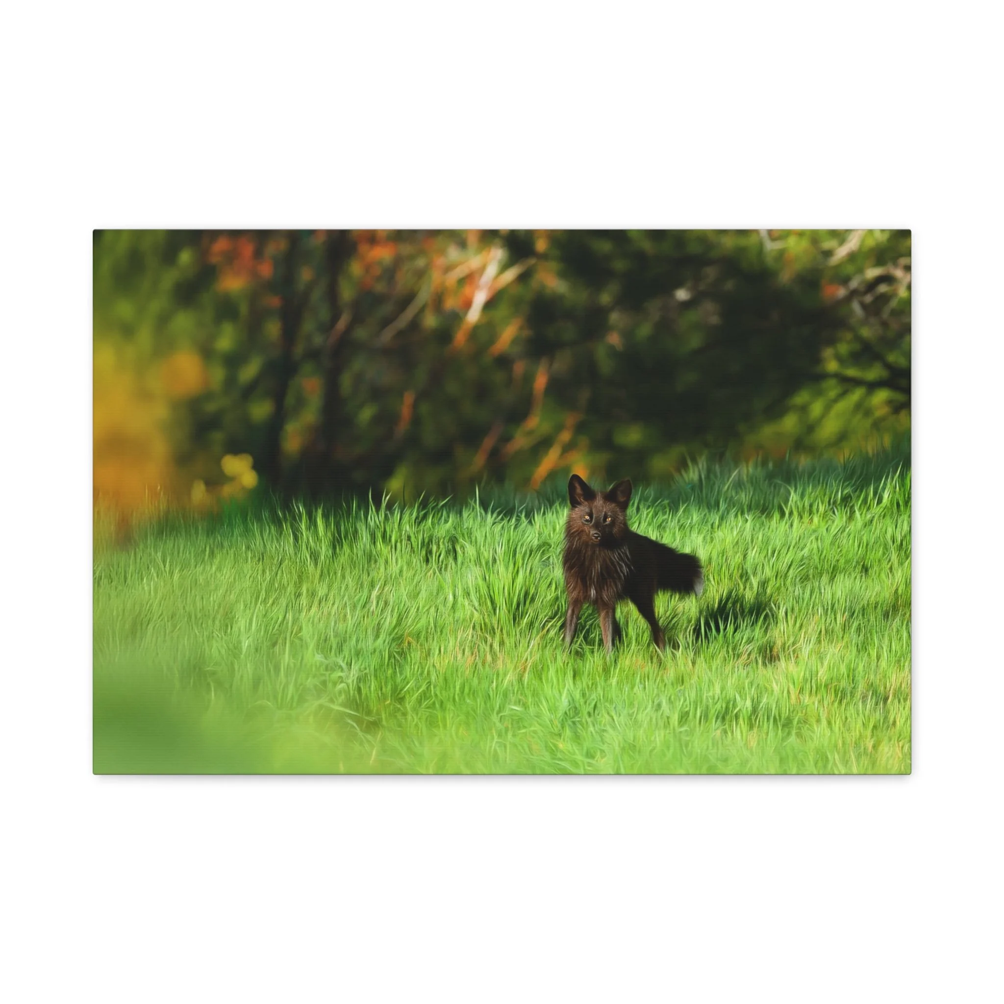 ffa1428abd10554dfcf6eb9d7d338c46