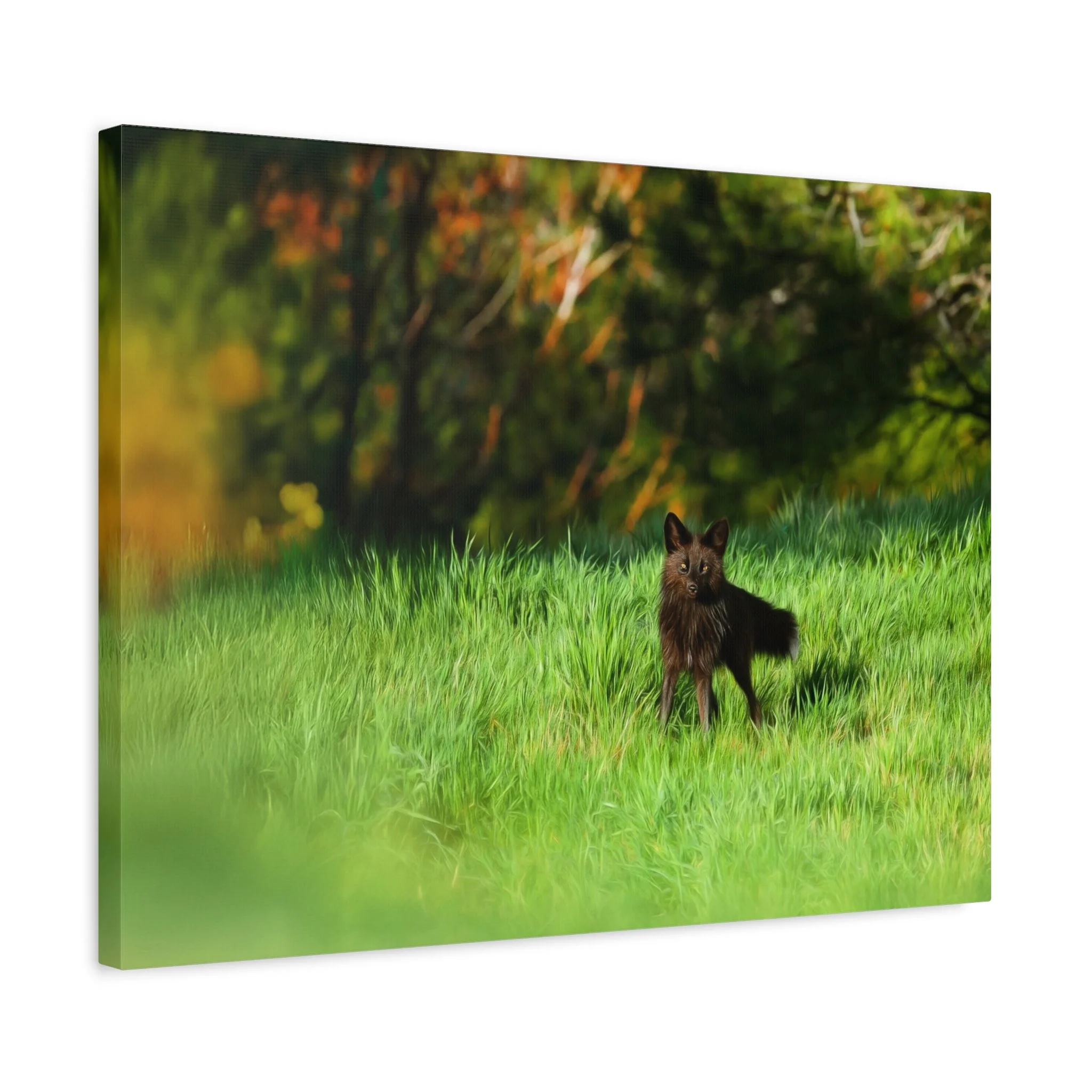 66764e3ca3e34ec26defe32c352ec8ea