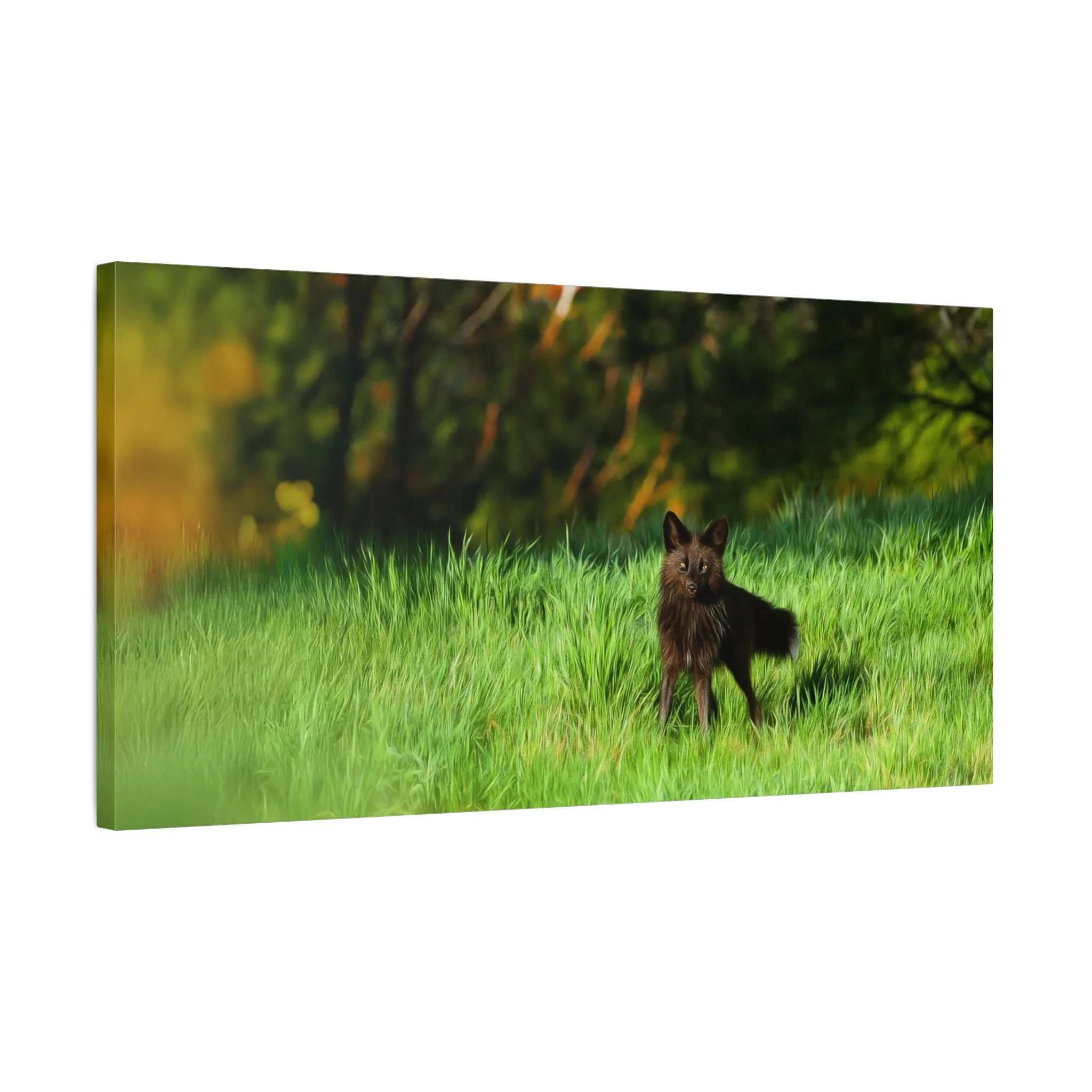 ec0345bf3e54c01c2641d0872a637ba8