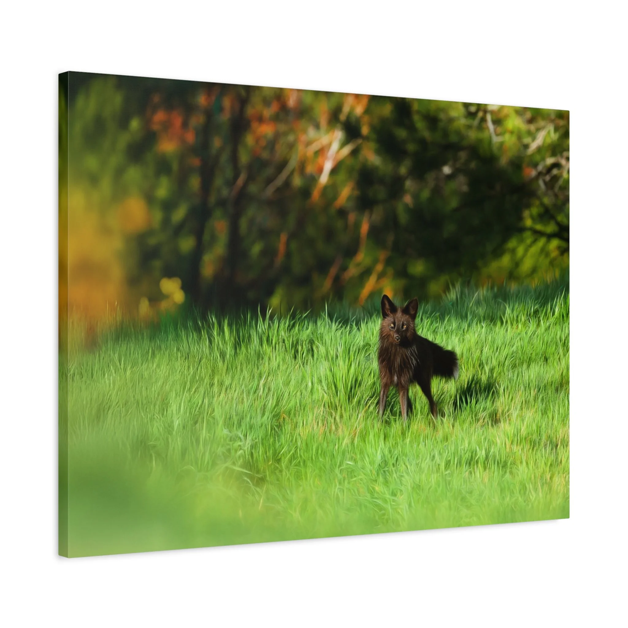 3d4f6853399f8b570b8a9526066fa85a