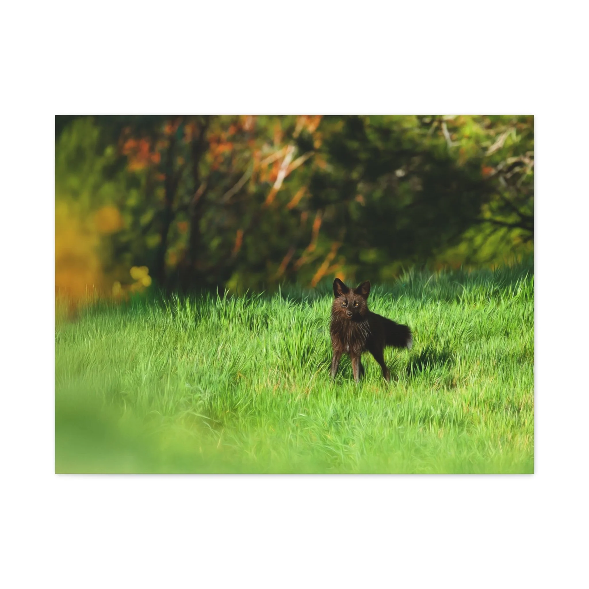 cae07d7773fa345cfc0097676dbe79fe