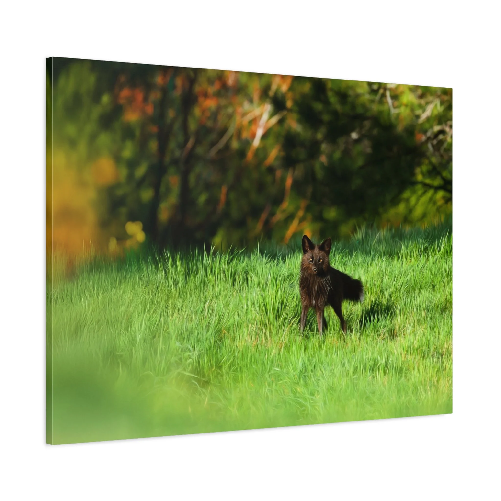 c569ca9b2e0afd734dc7e3a2fdd00032