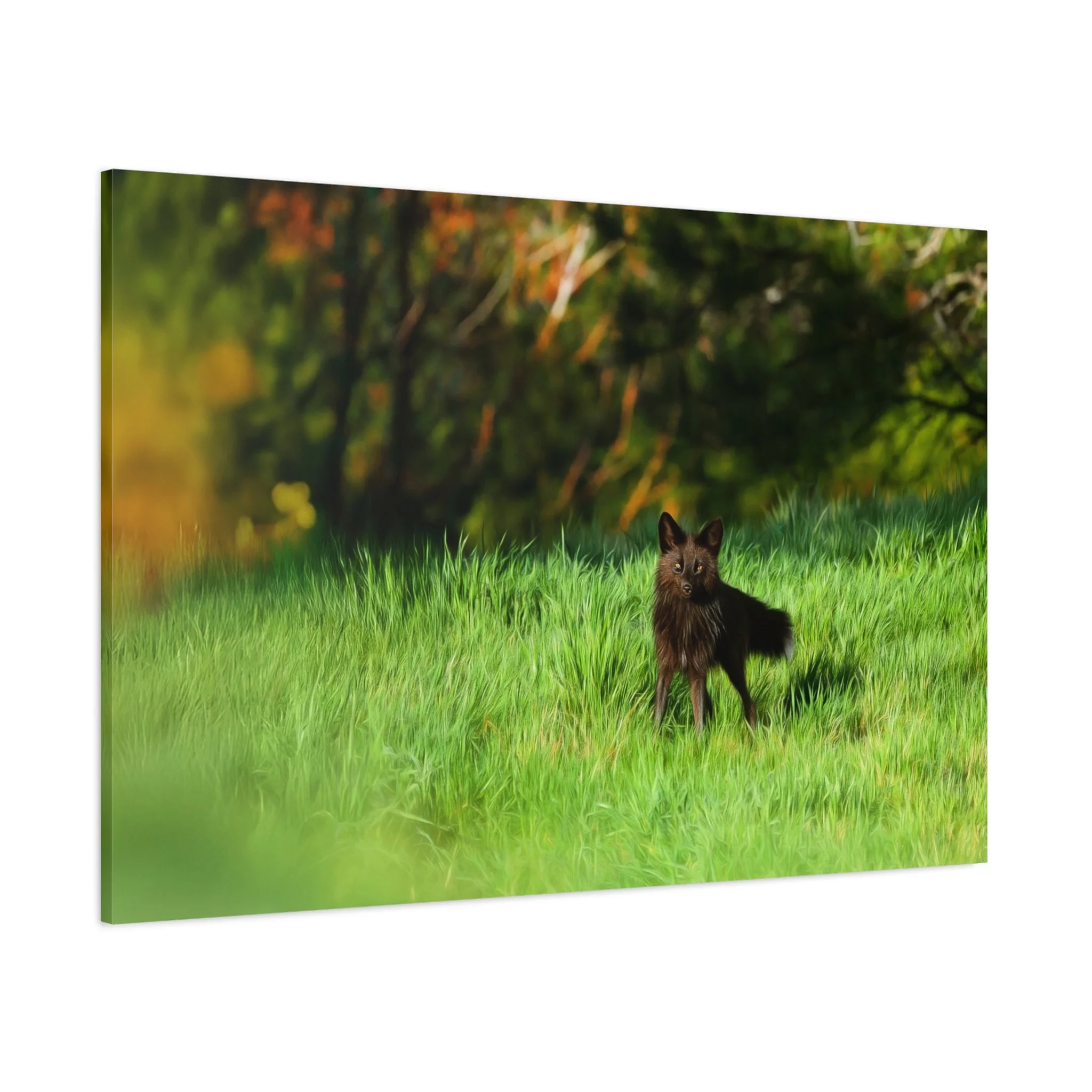 a0268762c98741d9d9a13492e9874eba