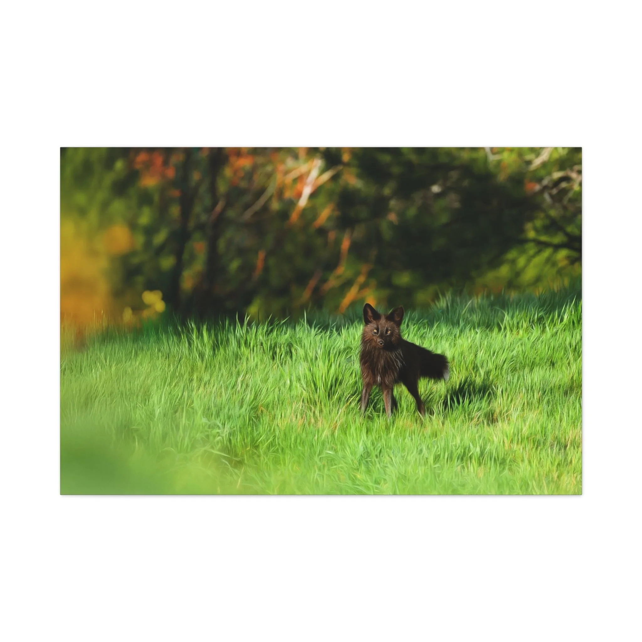 58331efe12d7f9d2af4a4f0ab7974174