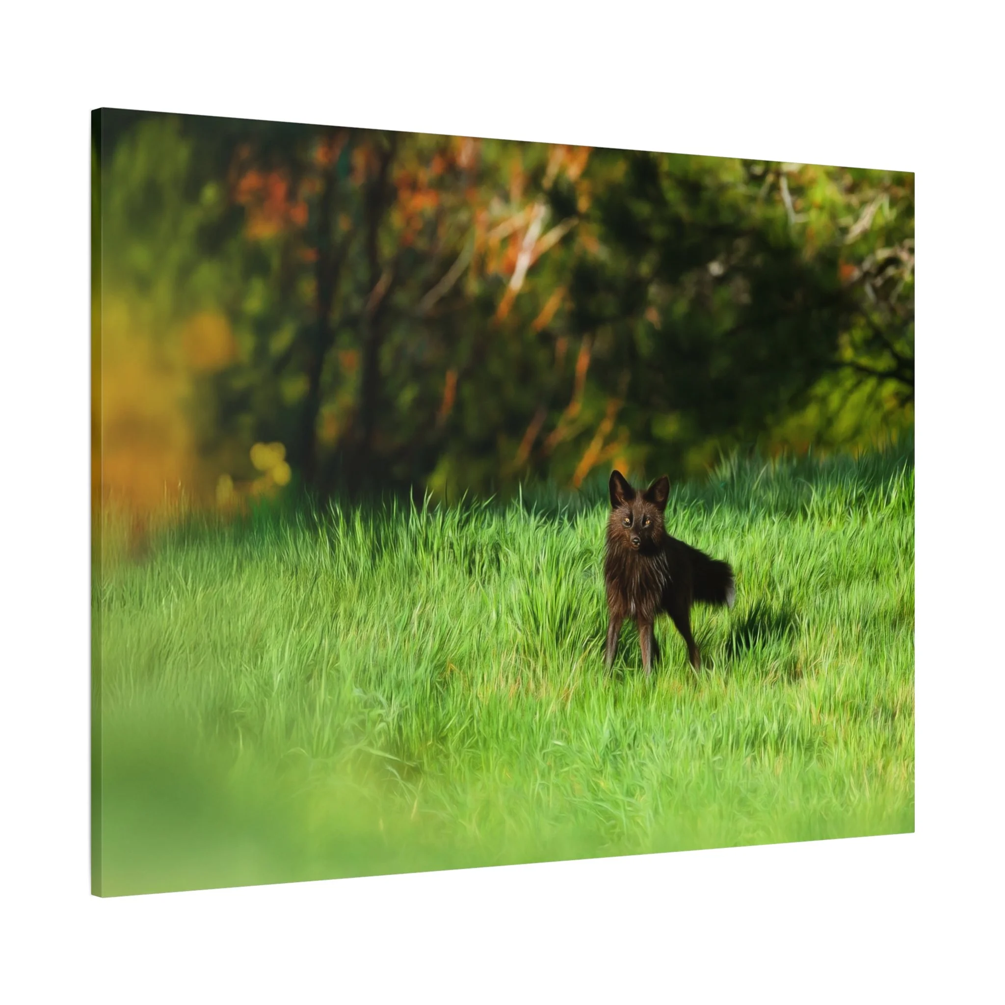 ad886cf5a0e33fe7e98acaa1e0b2e40d