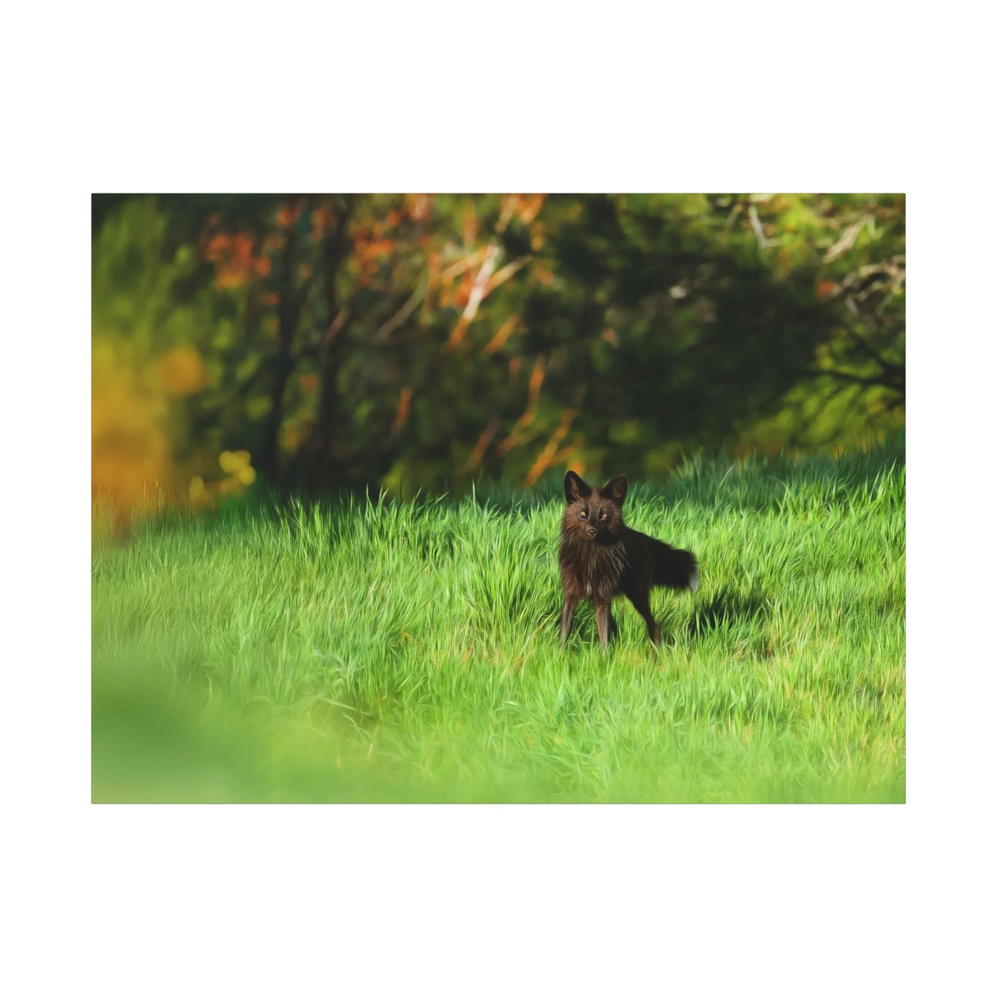 e34e1aed2a9924a2e9aab7e8d56e7c17