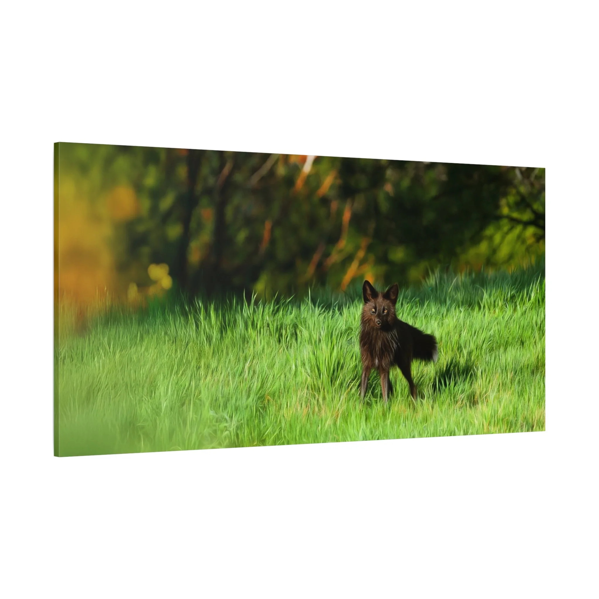 d9d395023b5c456f1e915d786d1664ab