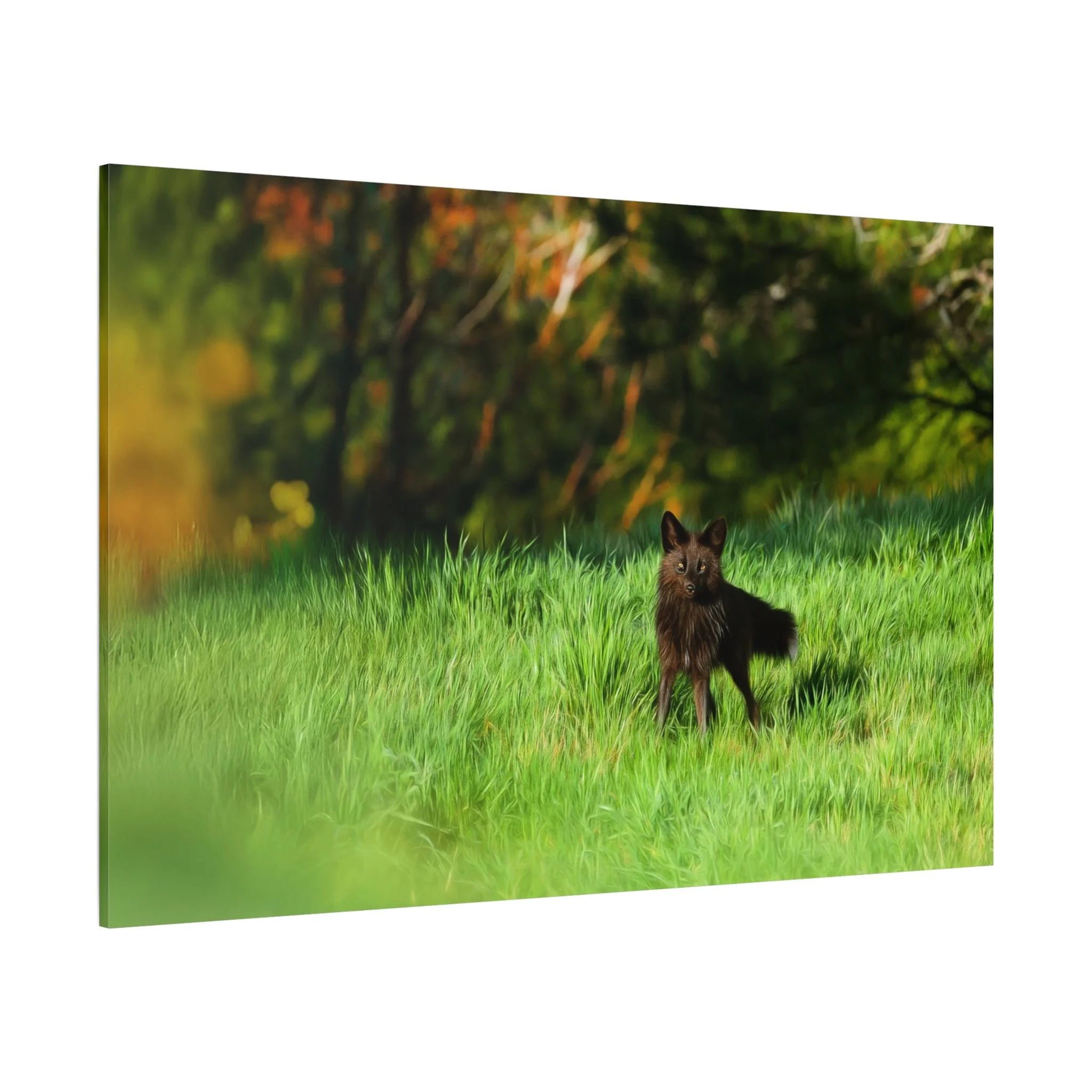 604aad877f764a00120413e6f0817d91