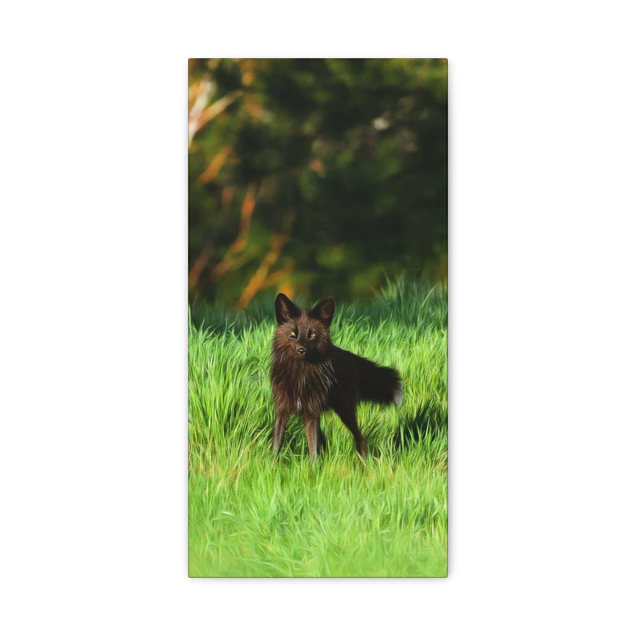 a6ae0f05fbcb18e8a42dcf3fe4b66458