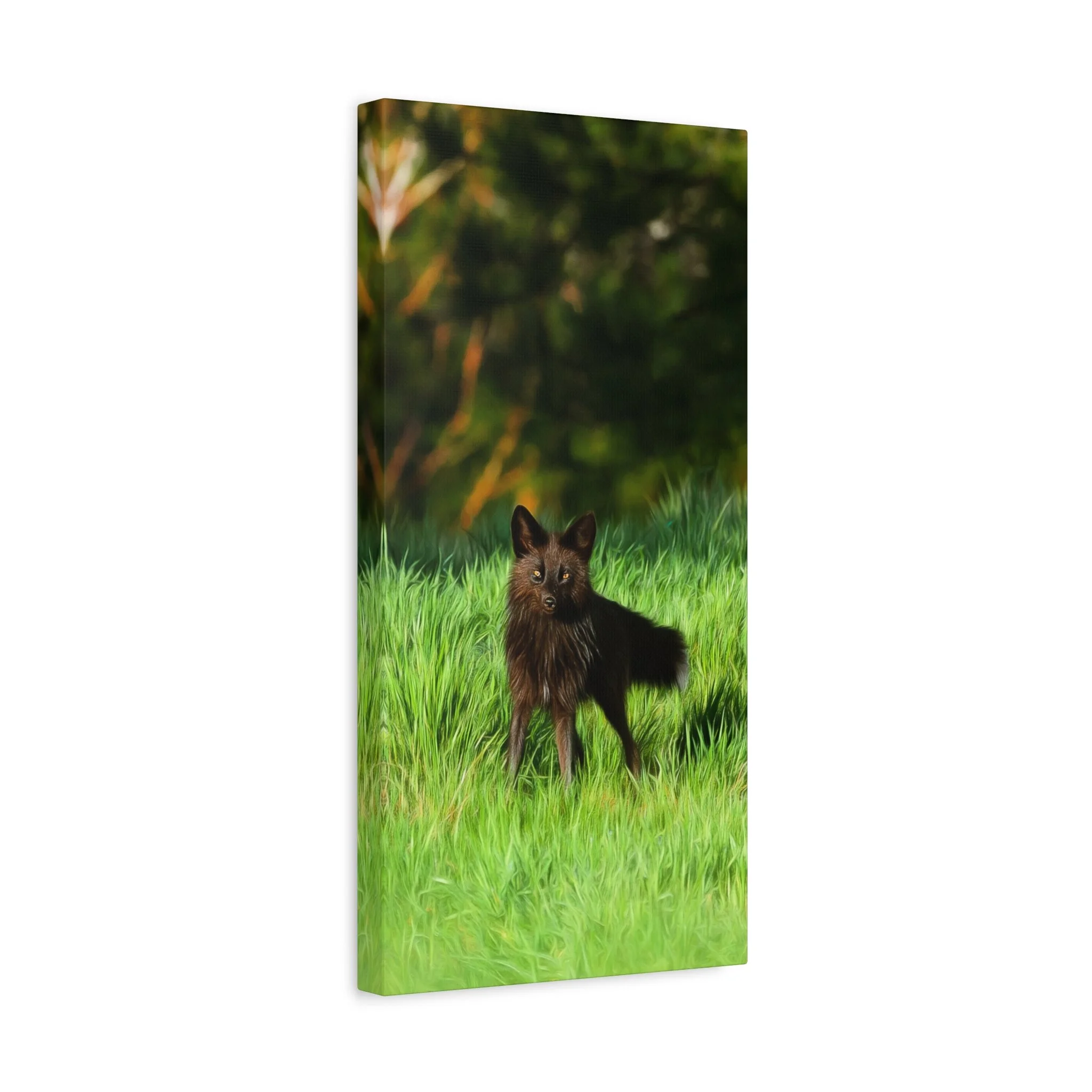 3db1bc9209ad667c14328c827e7481cf