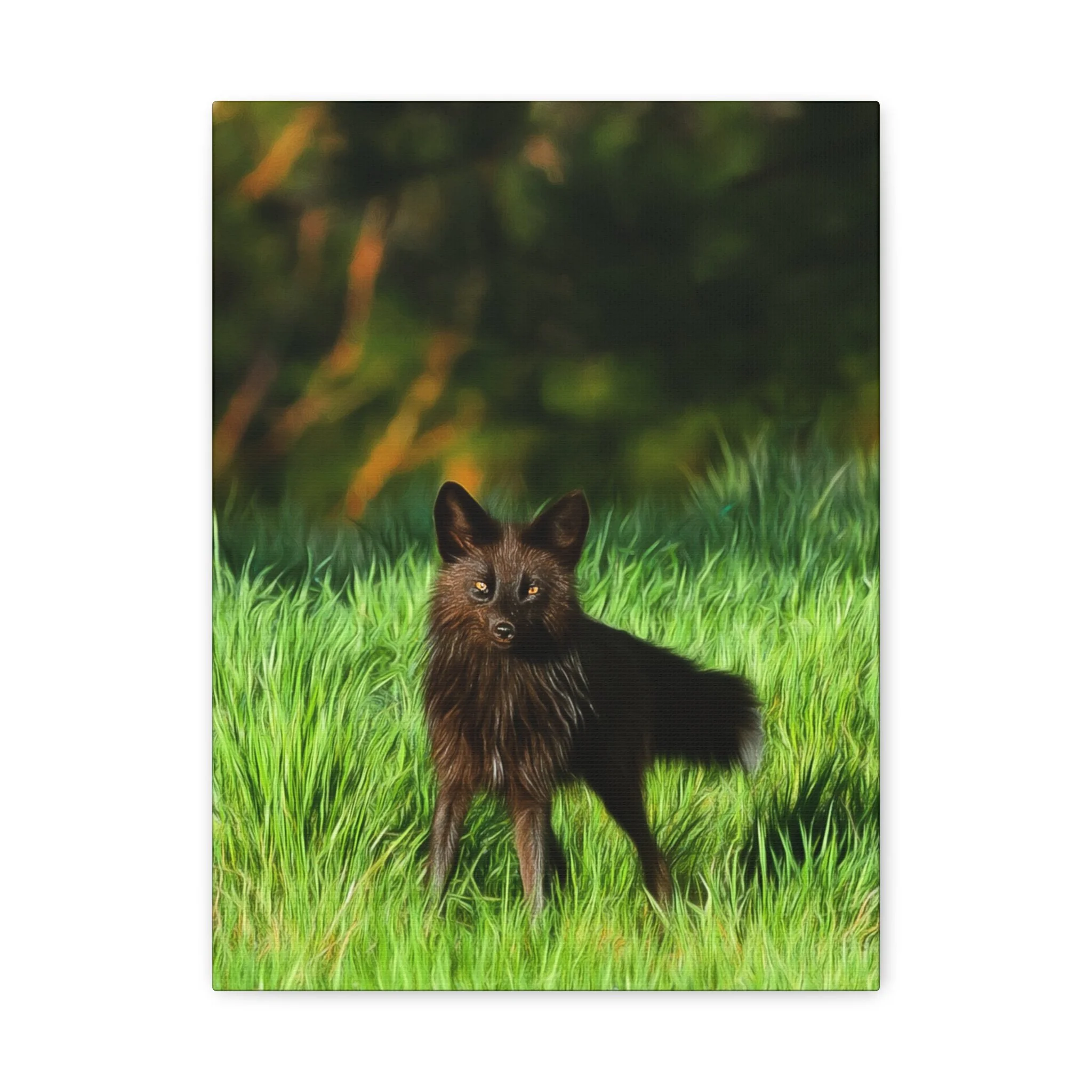 961627d6f5935668f31f9c4a1ecbf855