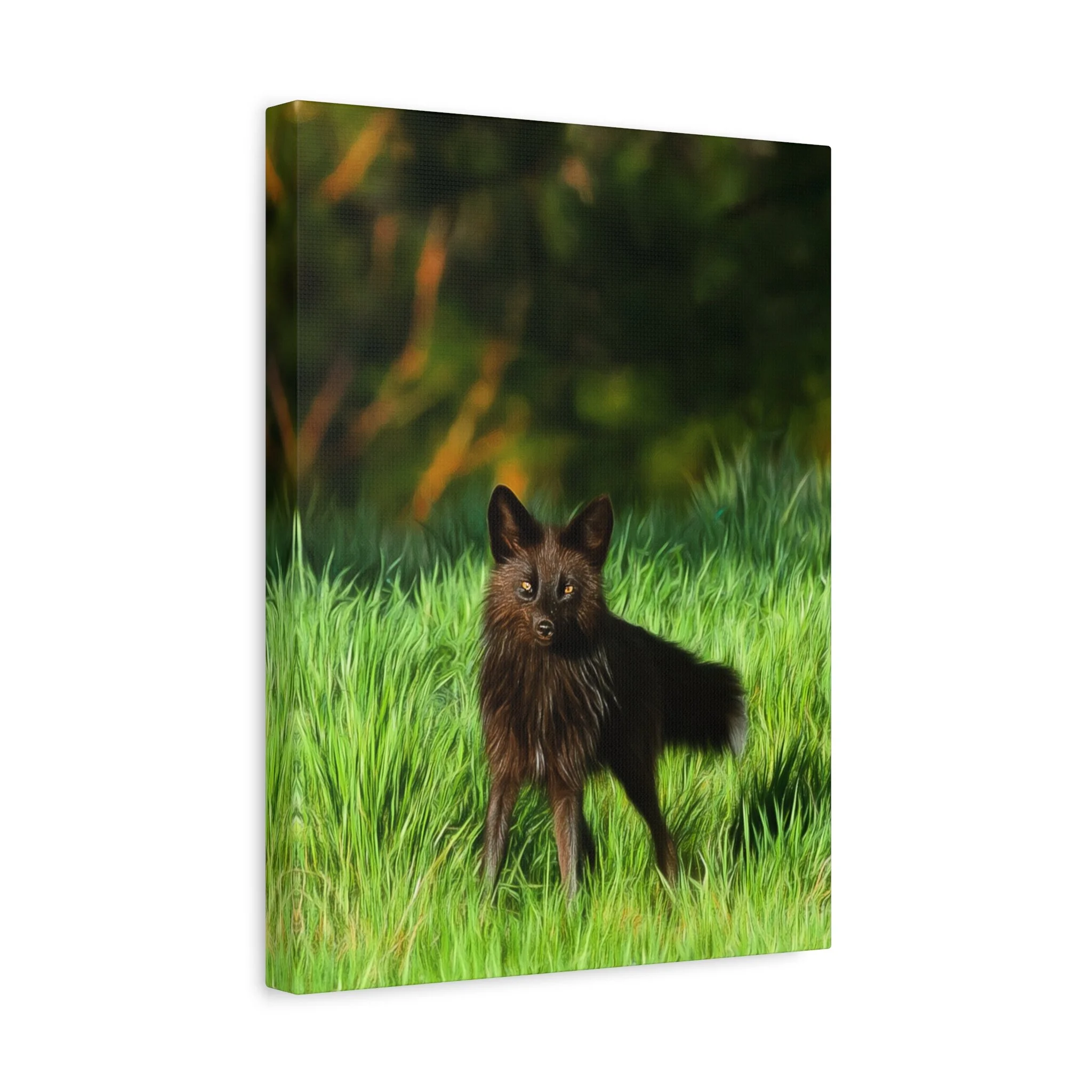 77a0a50d8388b240475b19dd6ebaaf15