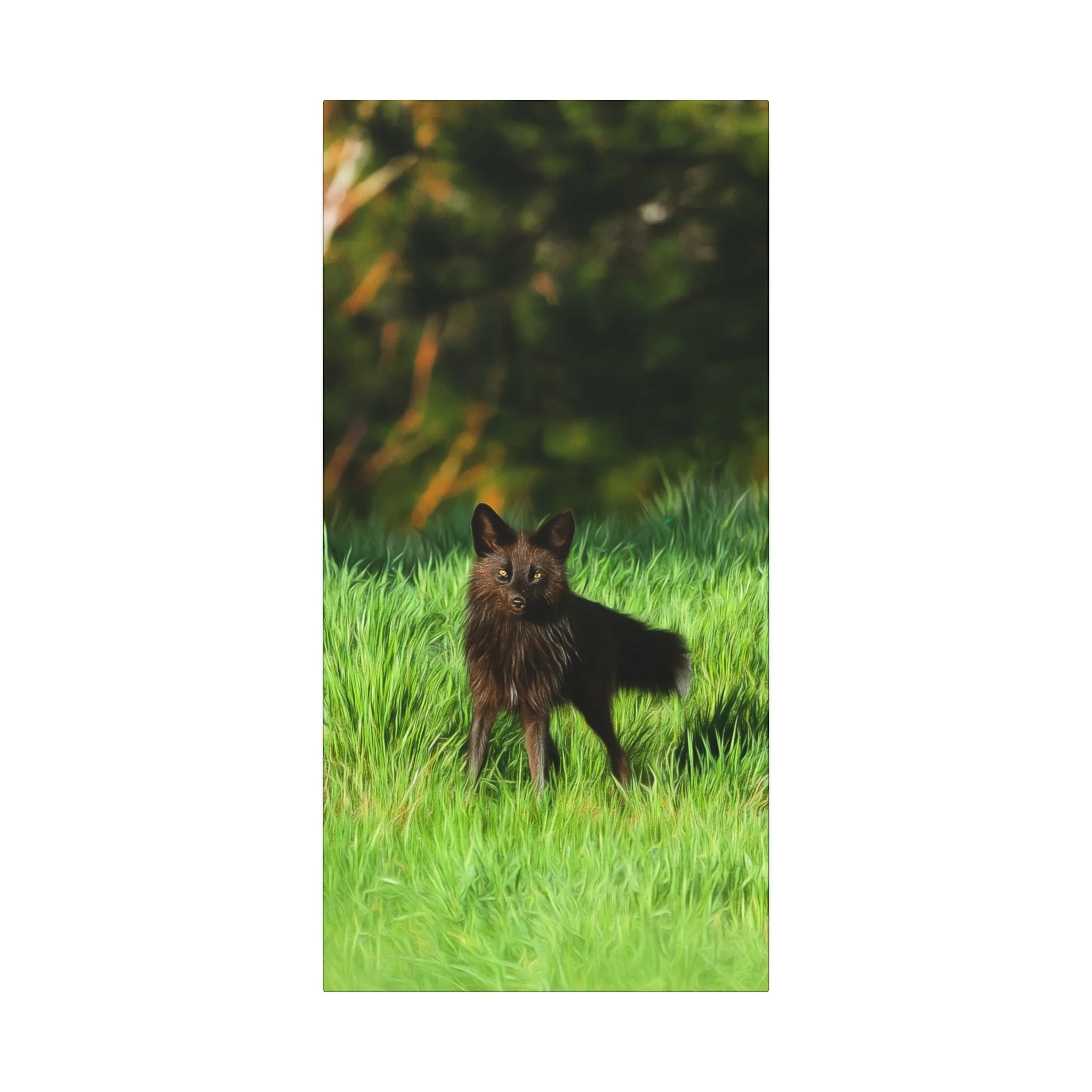 f71d2304698236ab9f5e53230a6f7696