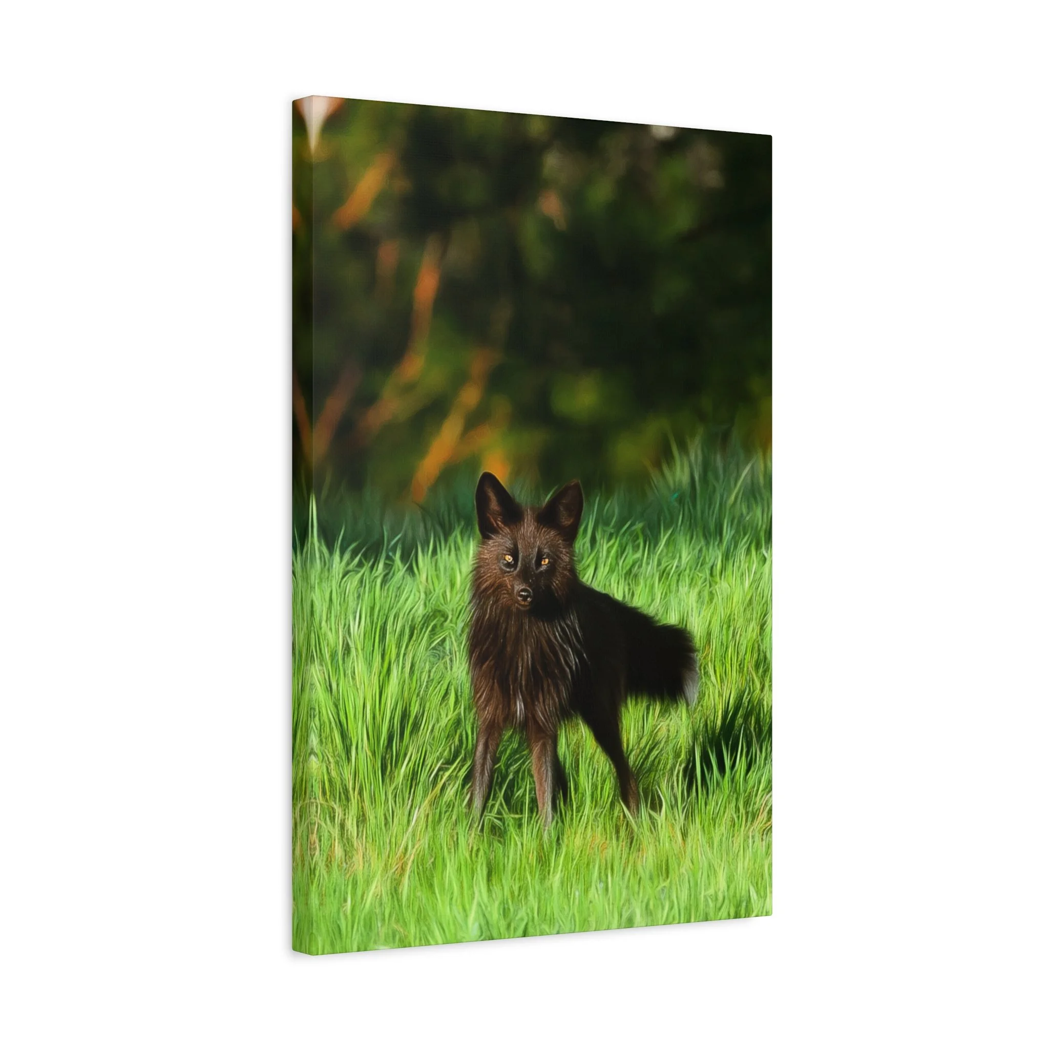 e33844c6f2ce5c4a6eb276d2d12a3da4