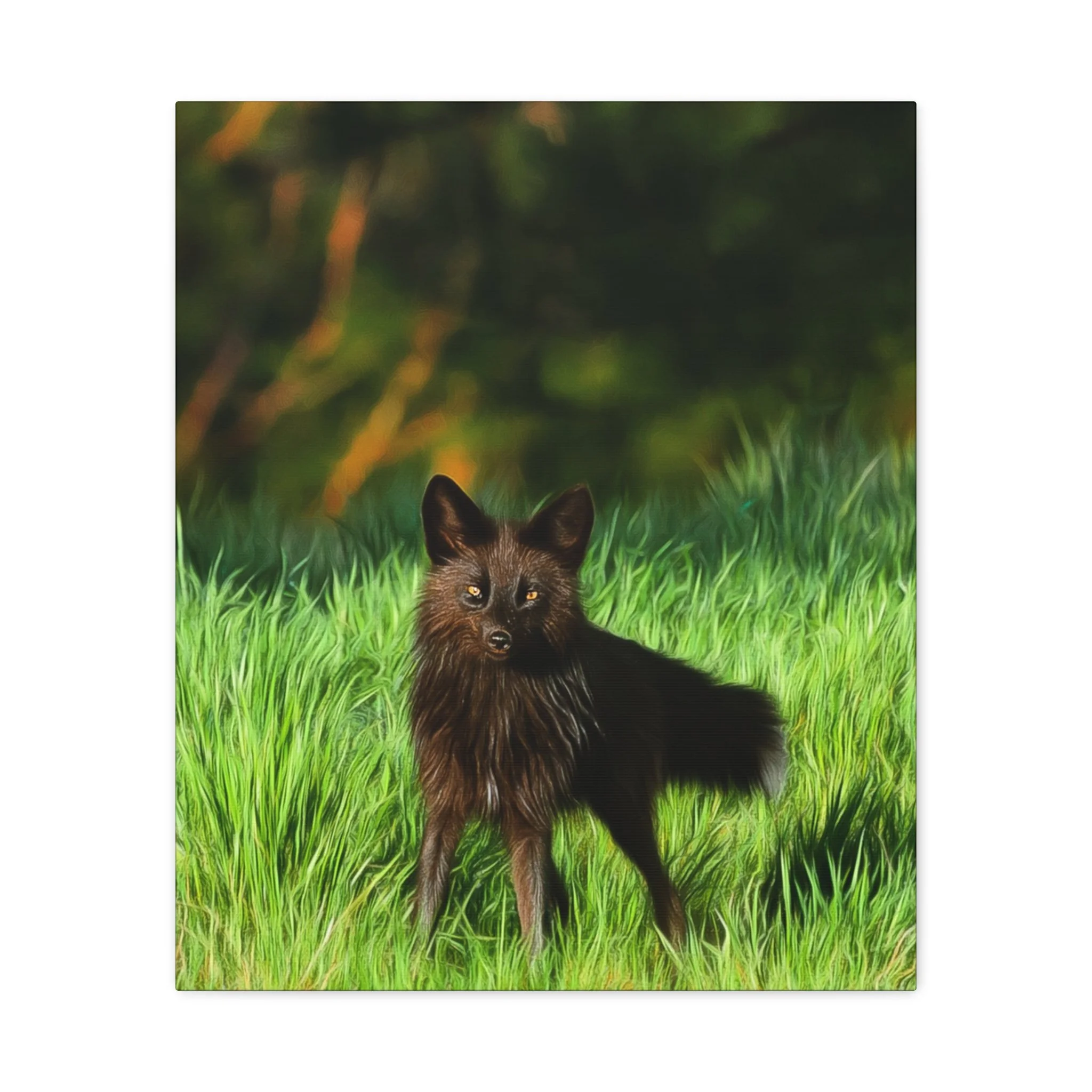 49df4d365a6345d4dedcb6f69d9af57f