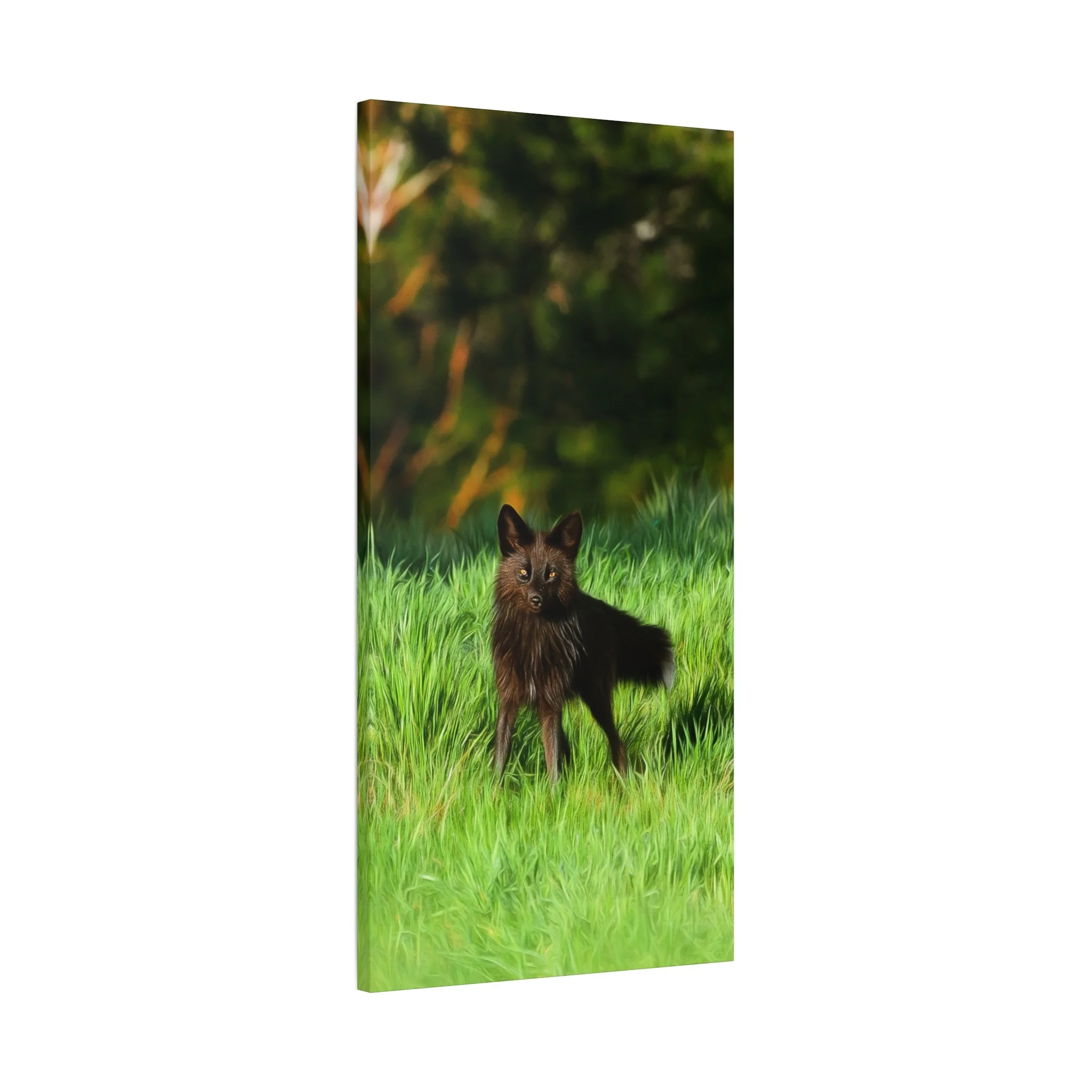 f36a2569cf6e9ca5b1a44d6cdd4c2cbf