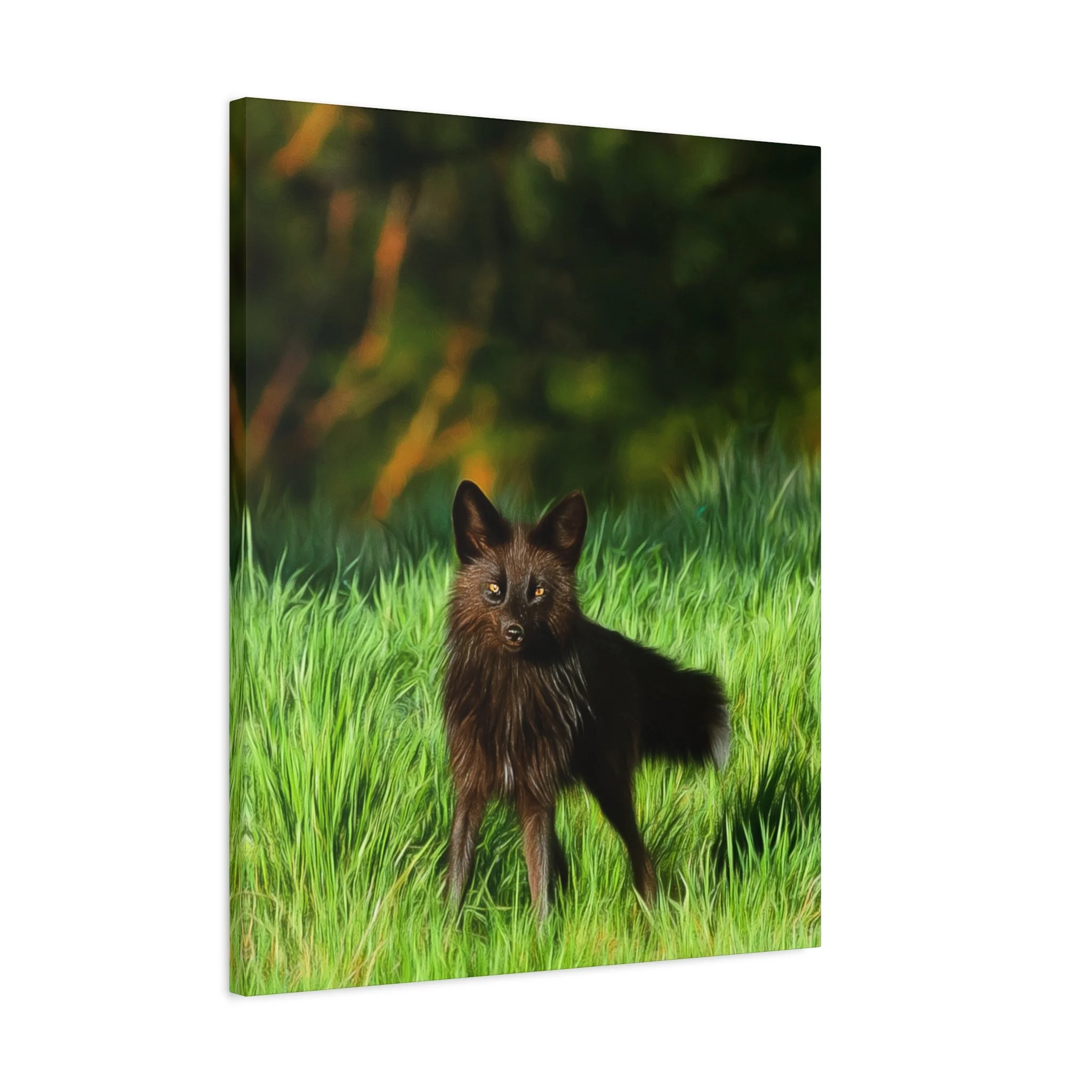 6a390ade375e20b8101bd4e0b67d7942