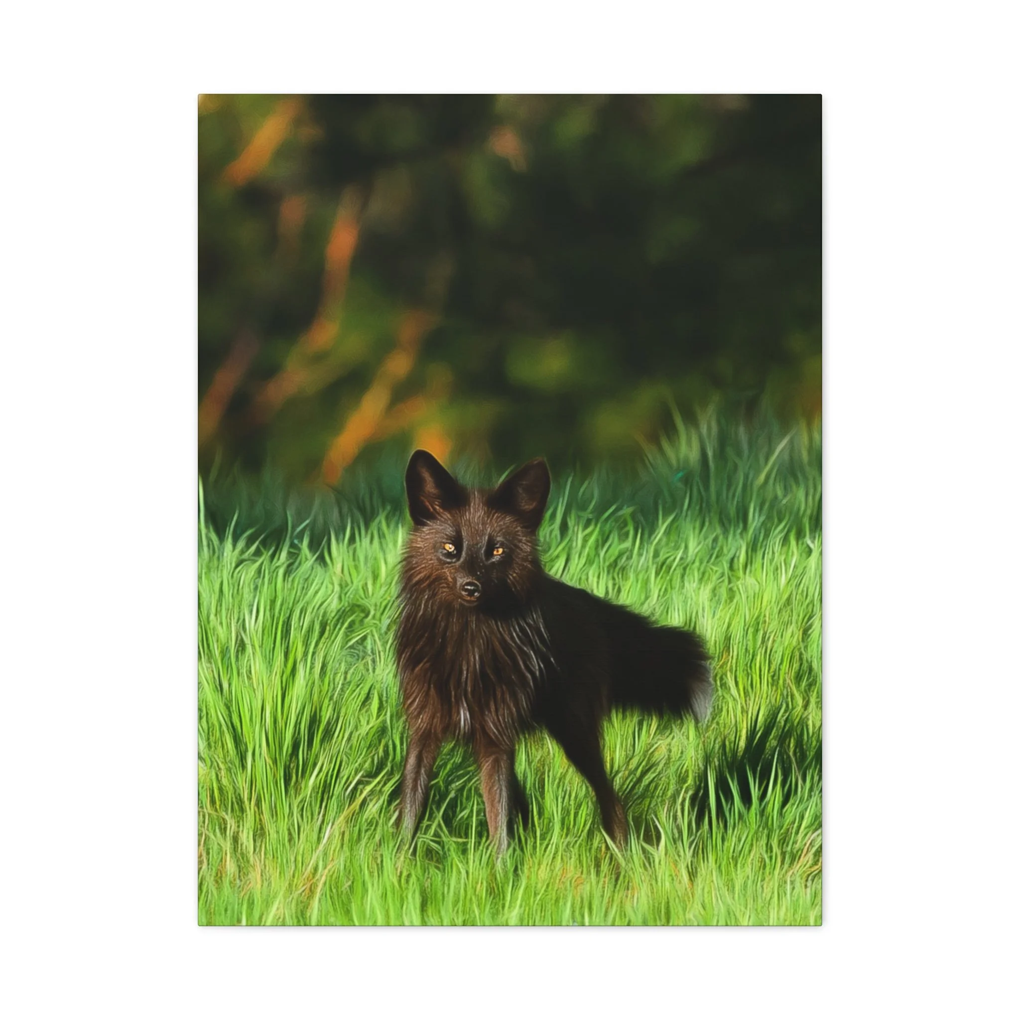 879dcc10fd300c5ec8a20db78c80b4eb