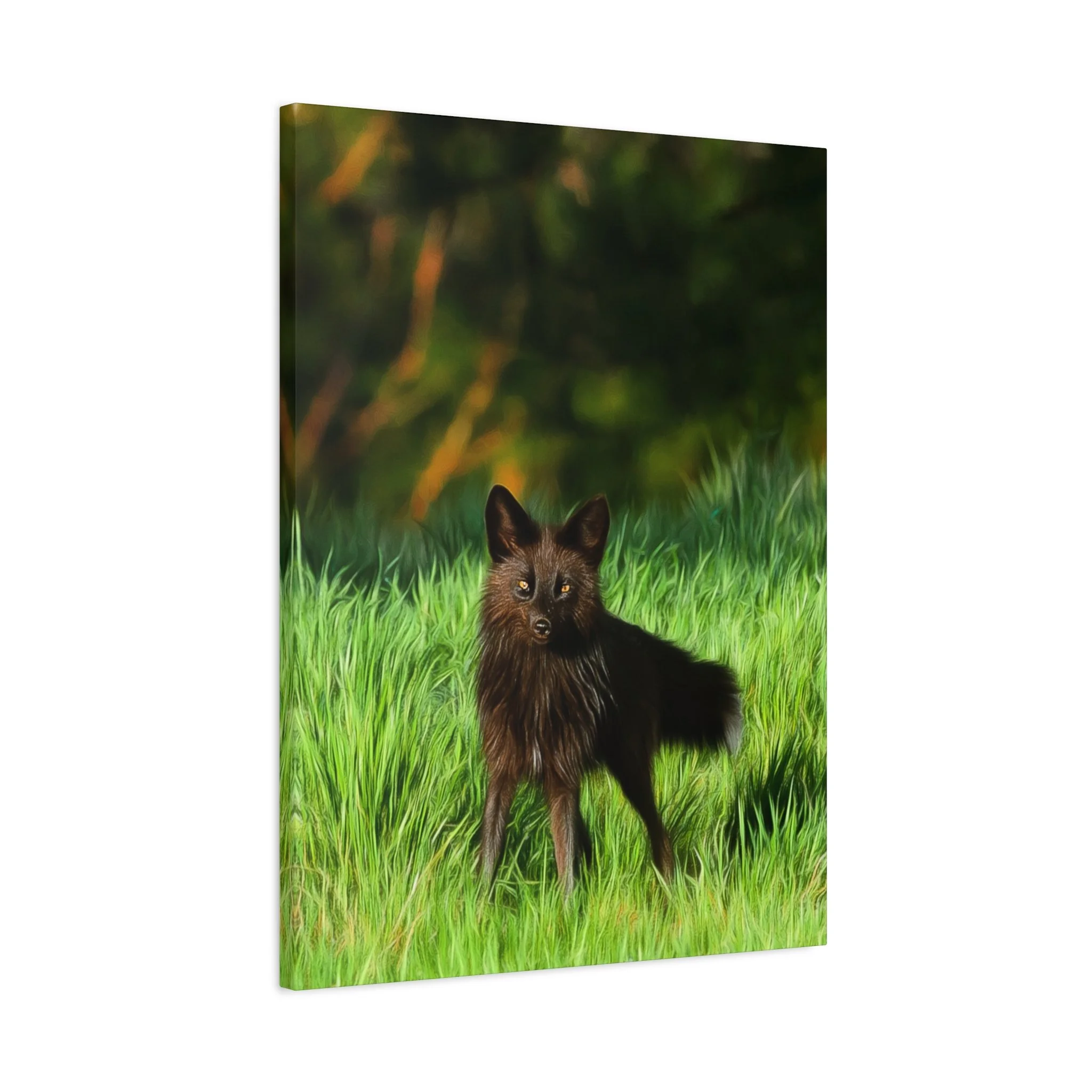 c41e1f43298677d66fdeec93a09668aa