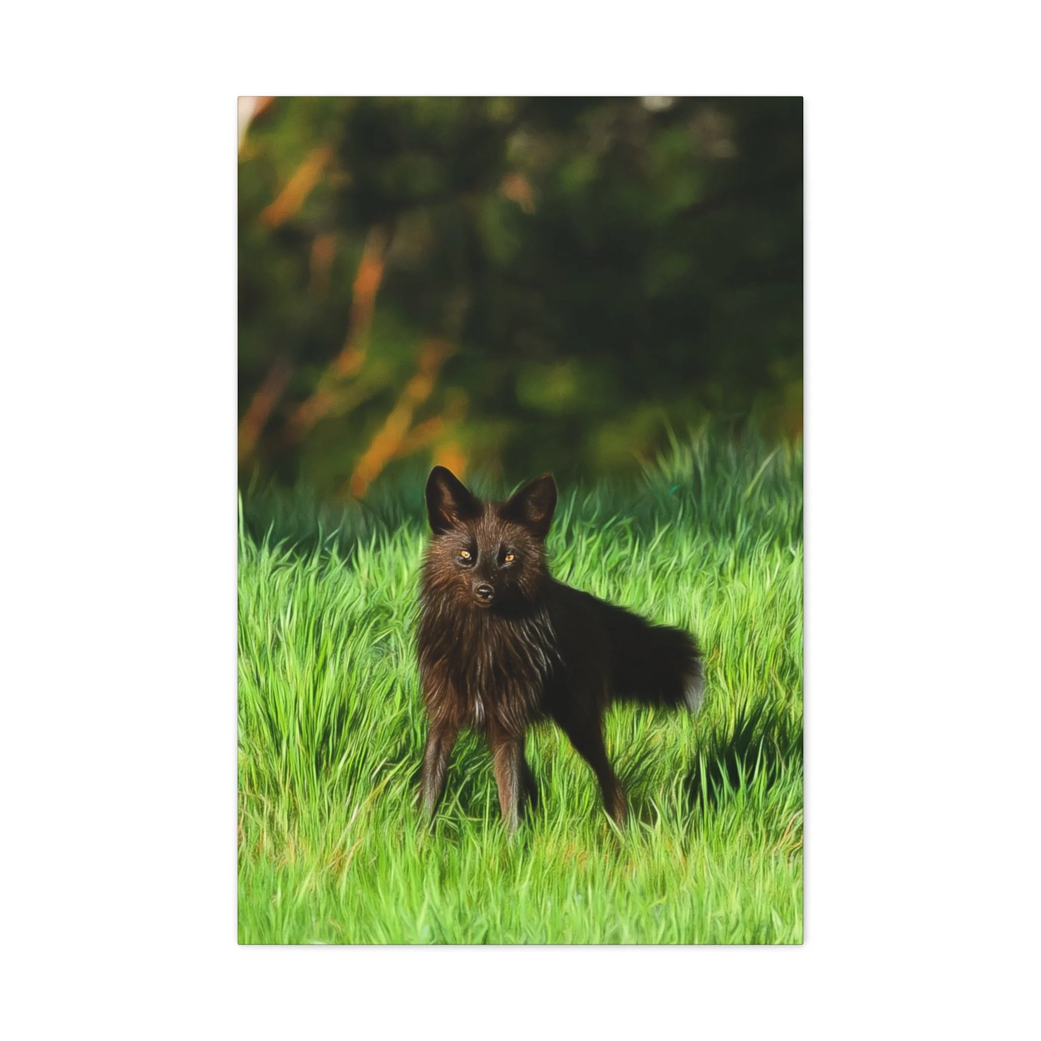 5534f427f1466124f357b6740b132a97