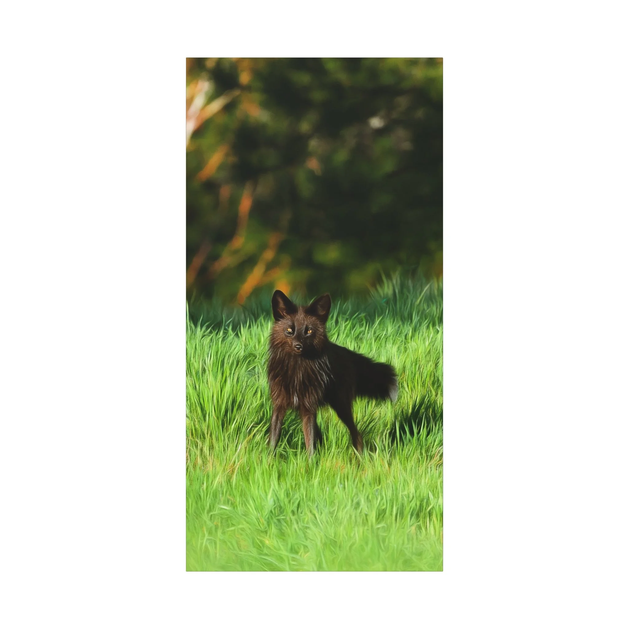 026dd954d241681435a6dd25a9c66a04