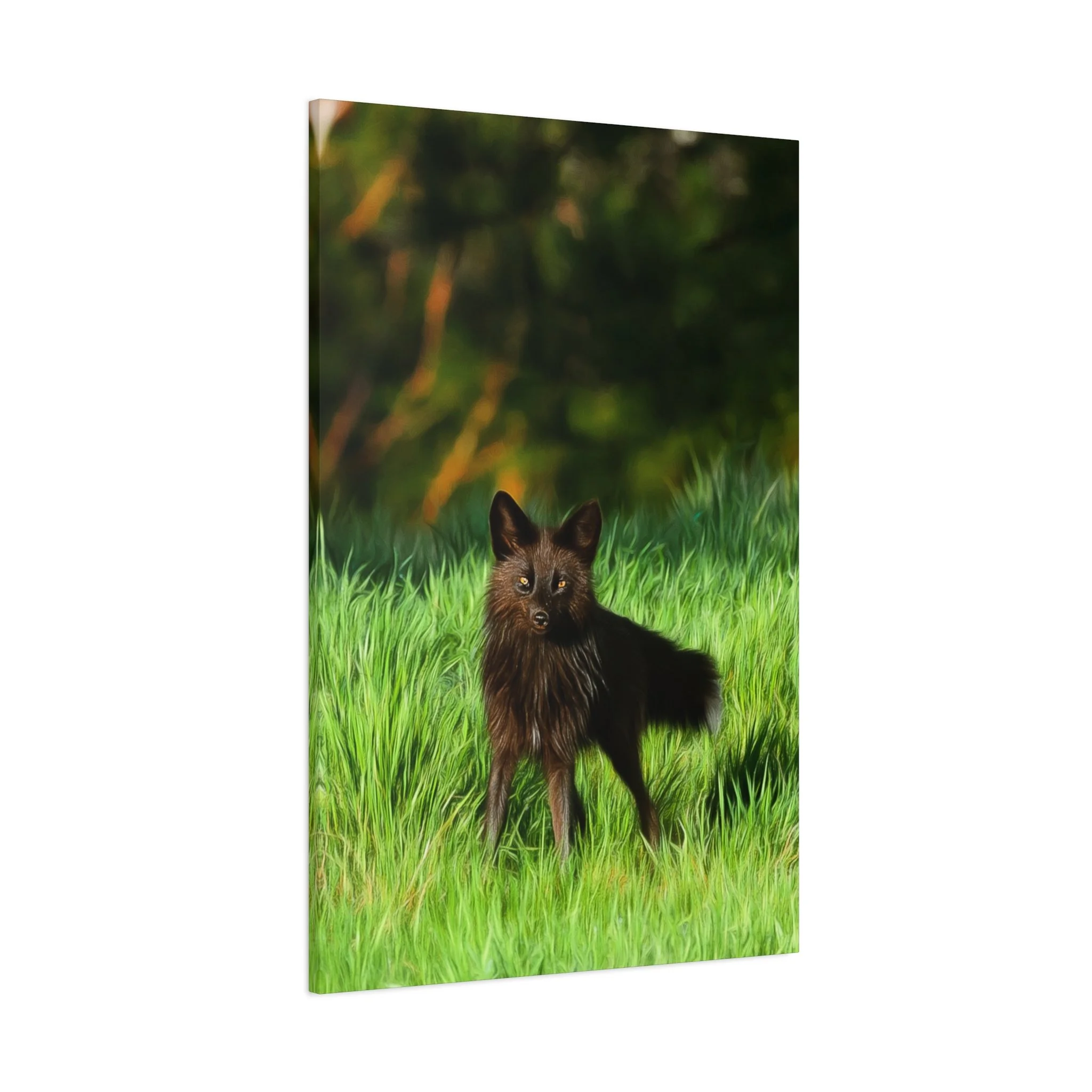 57ea74dd85e50d66215f664ff8e58456