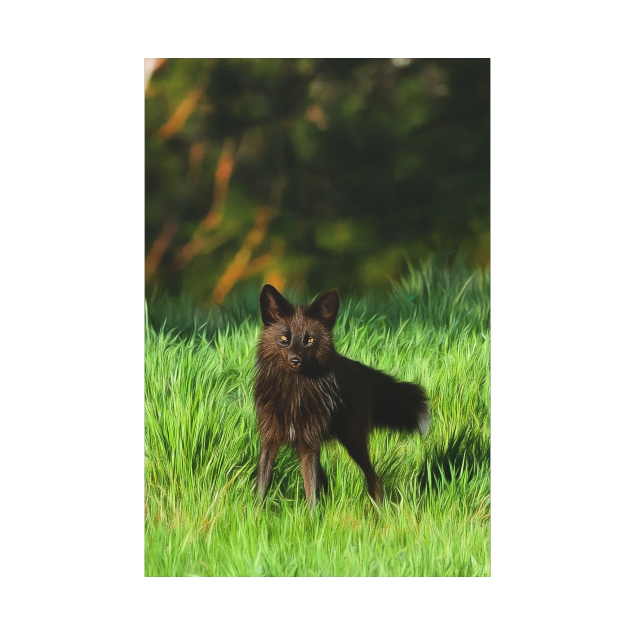 a73cde9d17a44ed8f35fcb2a1e5ad005