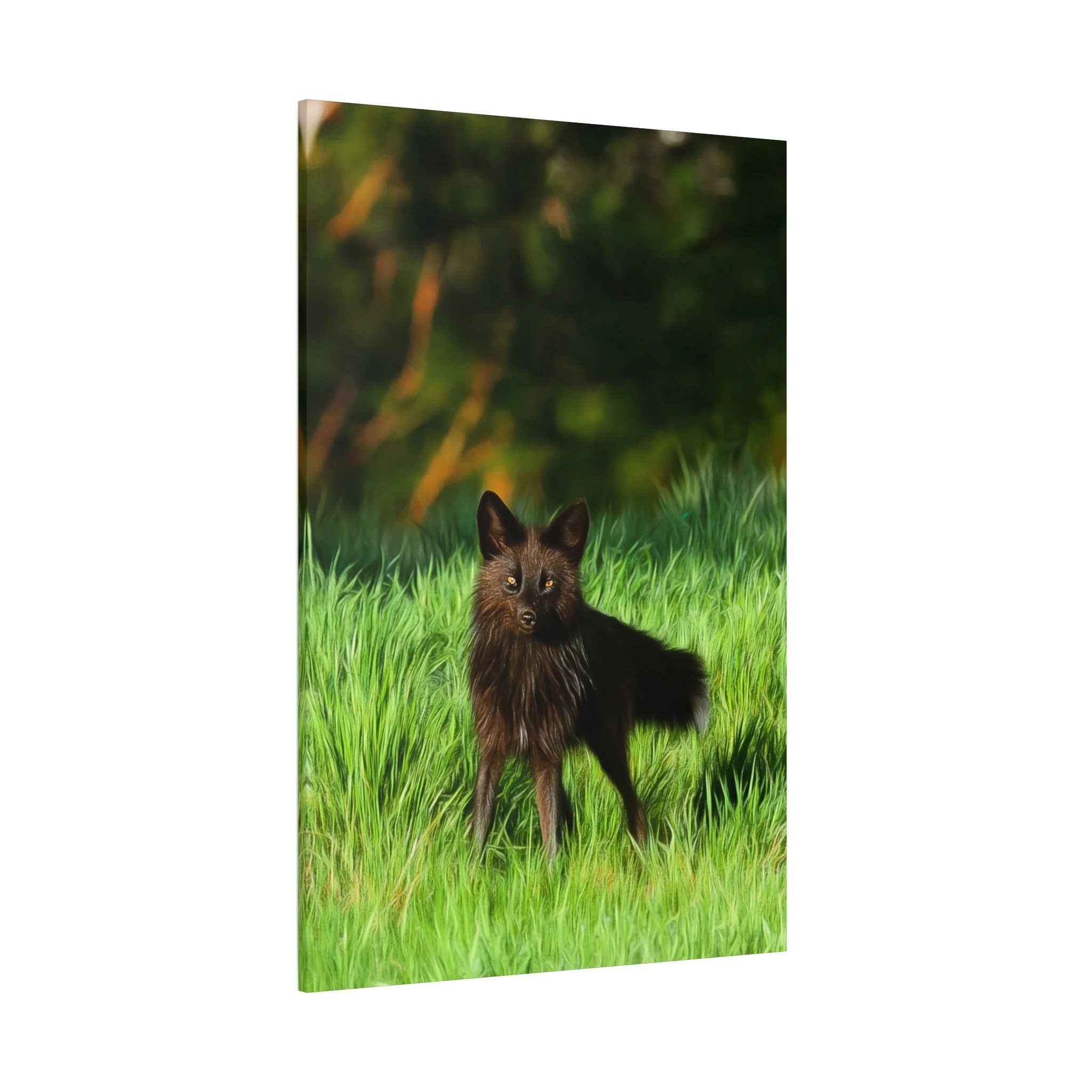 ec2e9b1d27fe427ad051184bdf3c0d7f