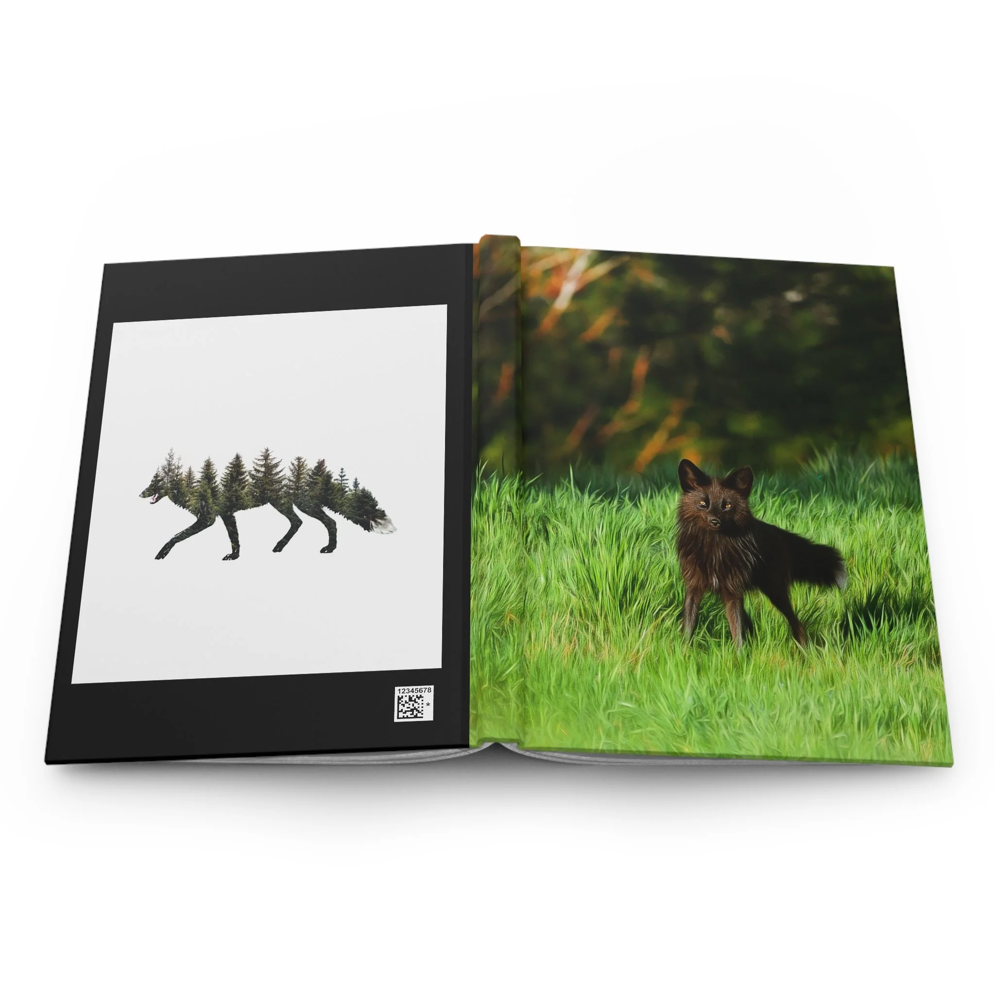 74baa0399009795863ed3129a47014a6